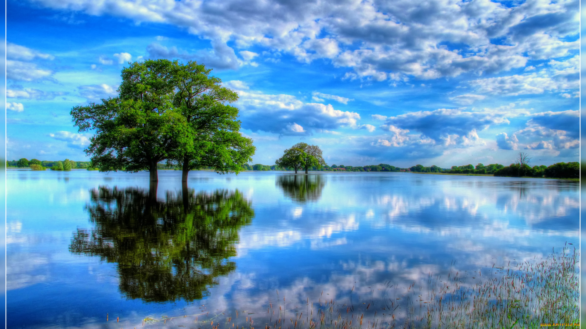 природа, реки, озера, облака, дерево, разлив, река