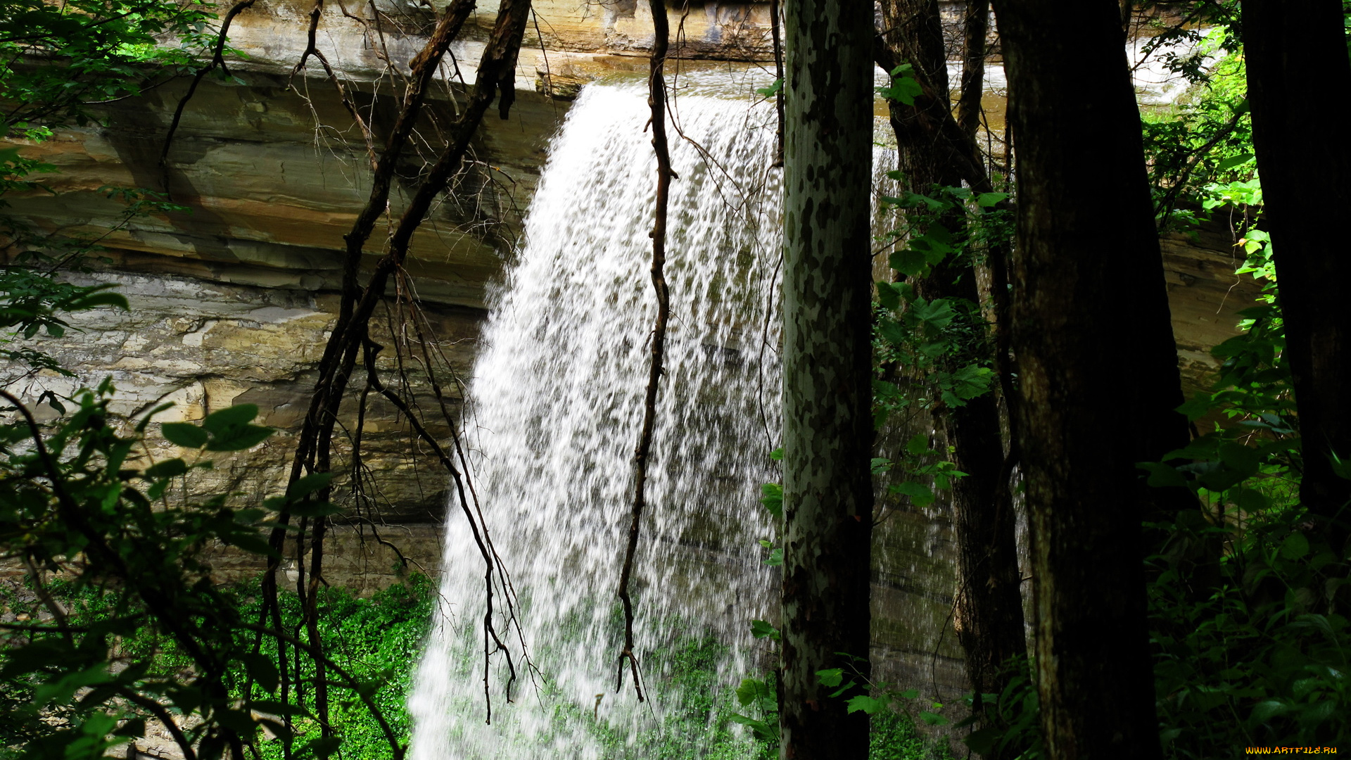 природа, водопады, деревья, вода