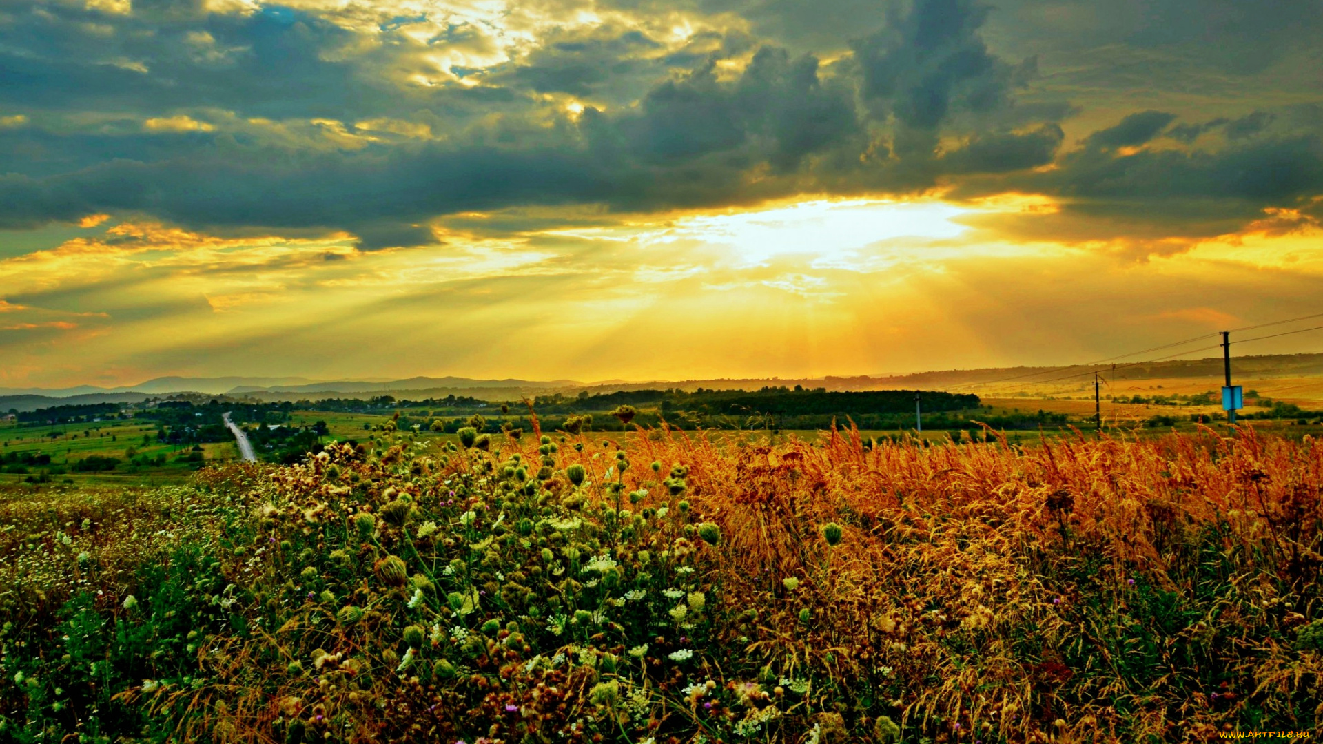 природа, восходы, закаты, поле, лучи, тучи, солнце, цветы, холмы, горизонт, трава, свет