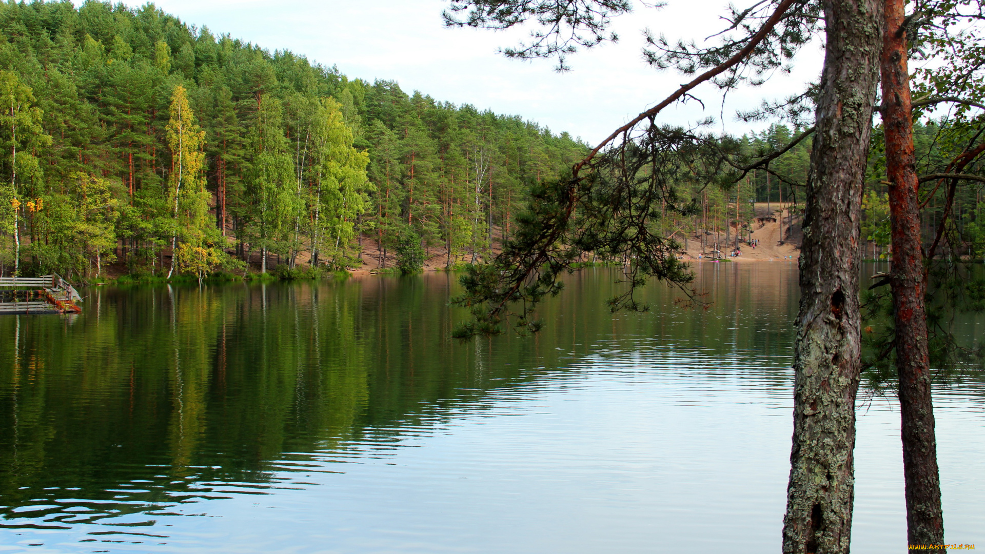 семиозерье, карельский, перешеек, природа, реки, озера, озеро, лес, трава