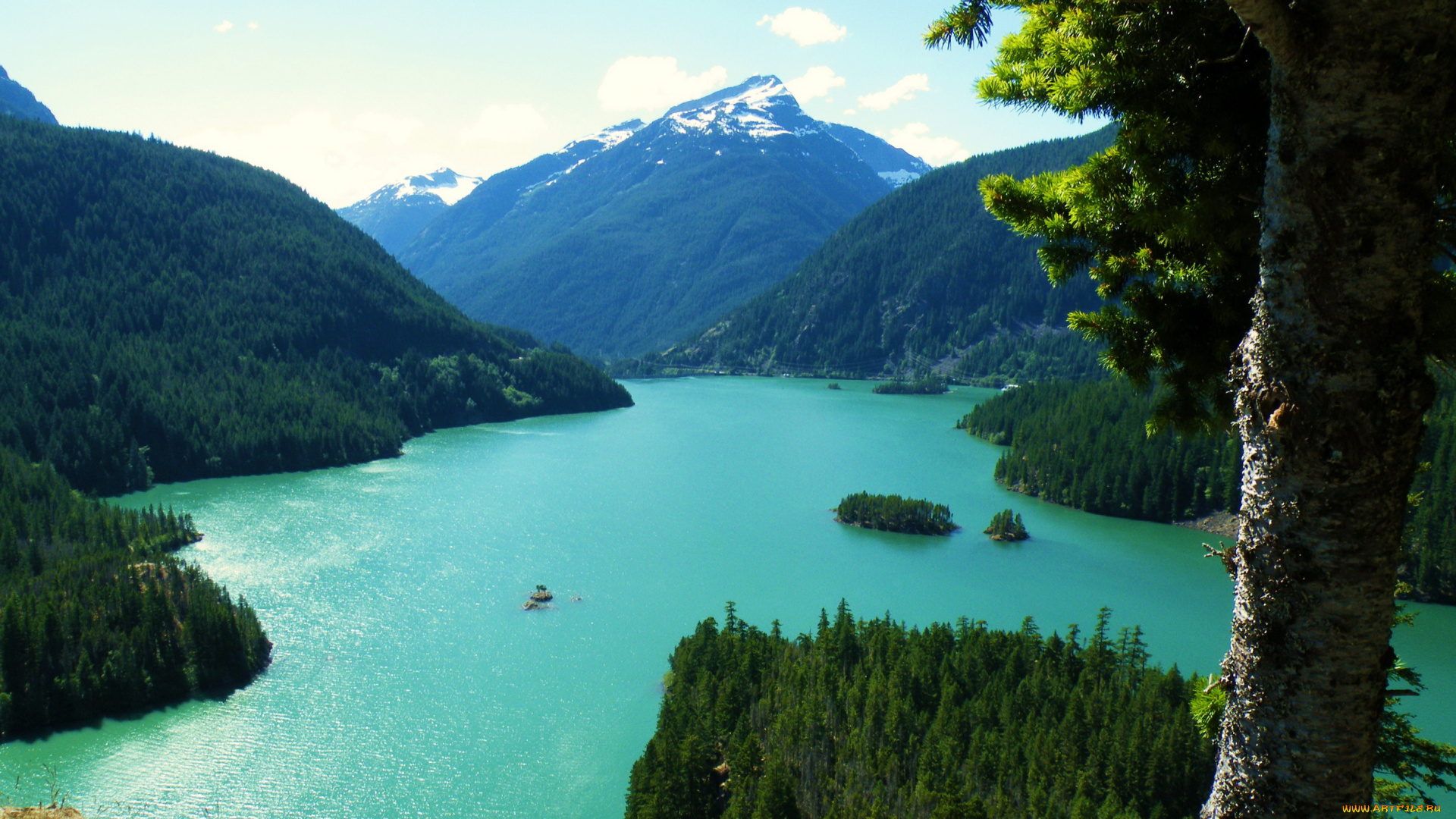 сша, вашингтон, озеро, diablo, природа, реки, озера, берега, деревья, горы