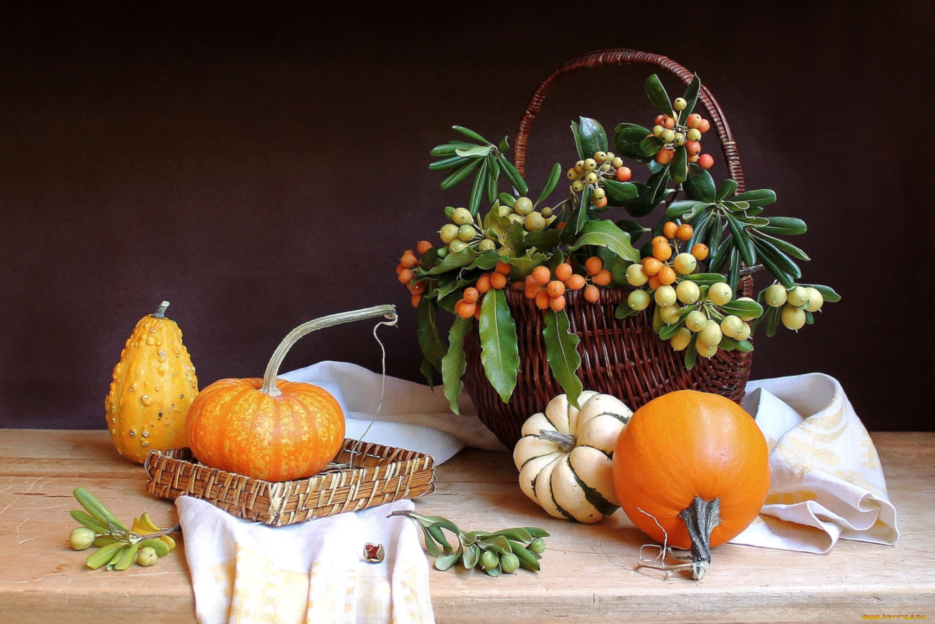 еда, натюрморт, тыква