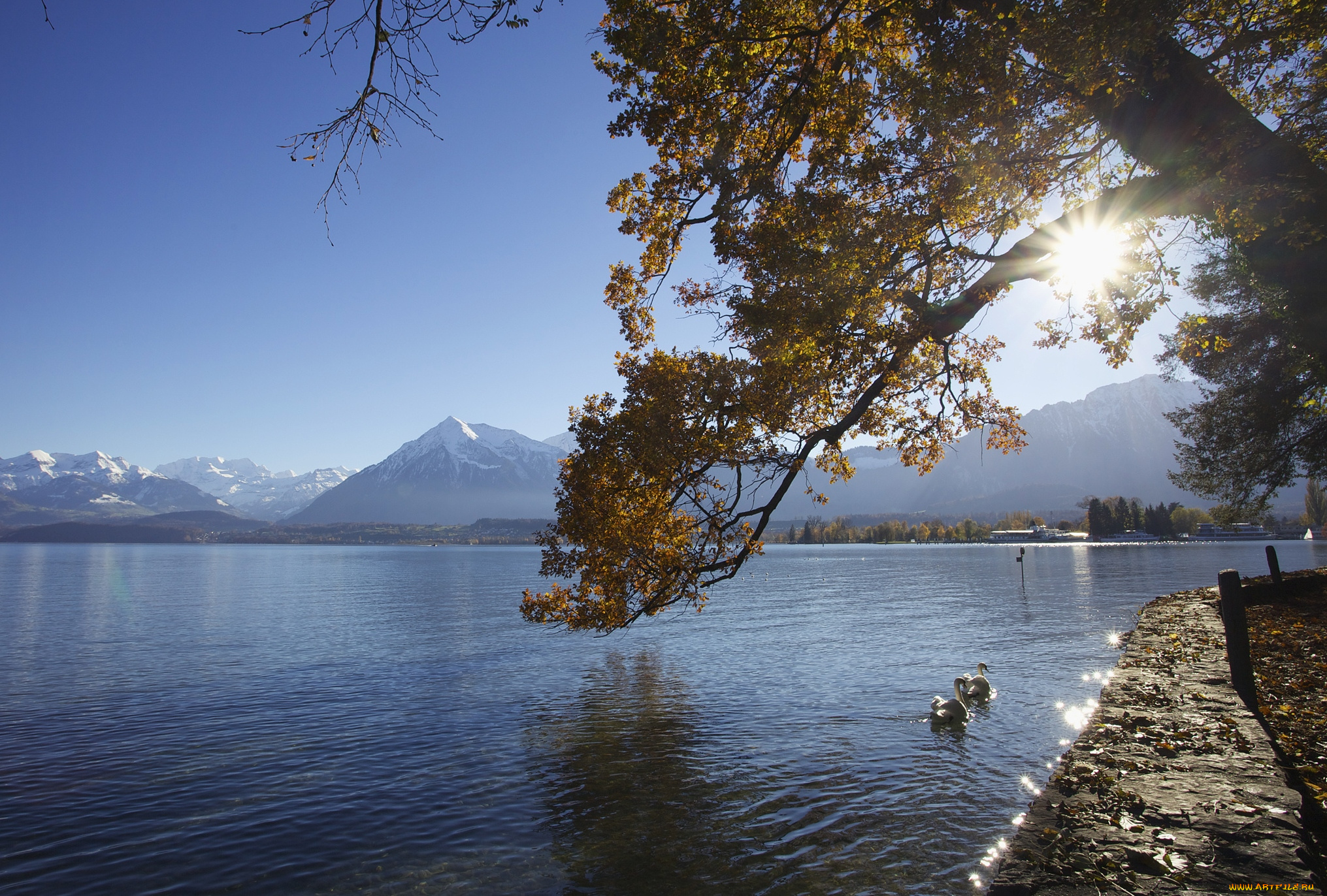 природа, реки, озера, лебеди, гора, вода