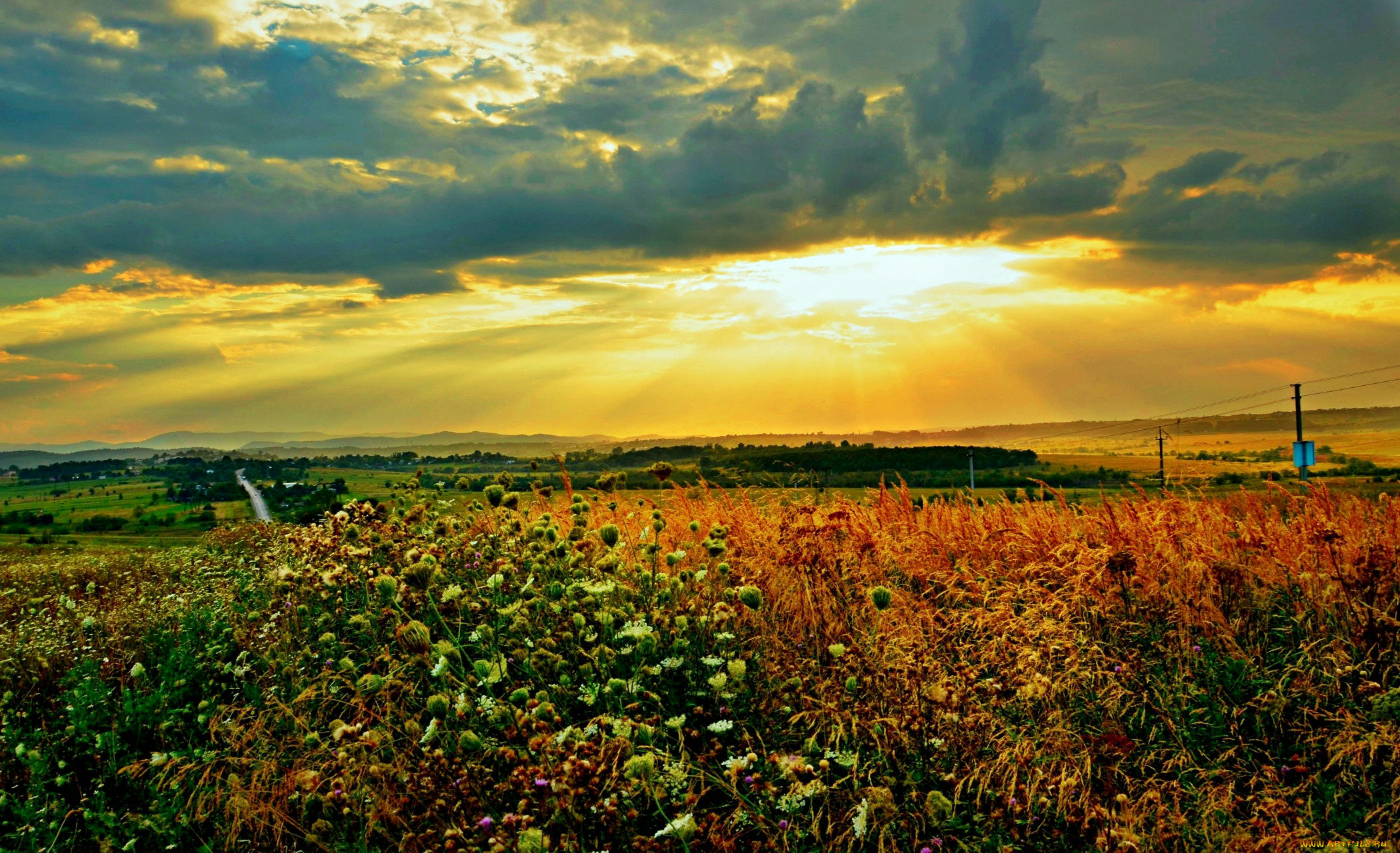 природа, восходы, закаты, поле, лучи, тучи, солнце, цветы, холмы, горизонт, трава, свет