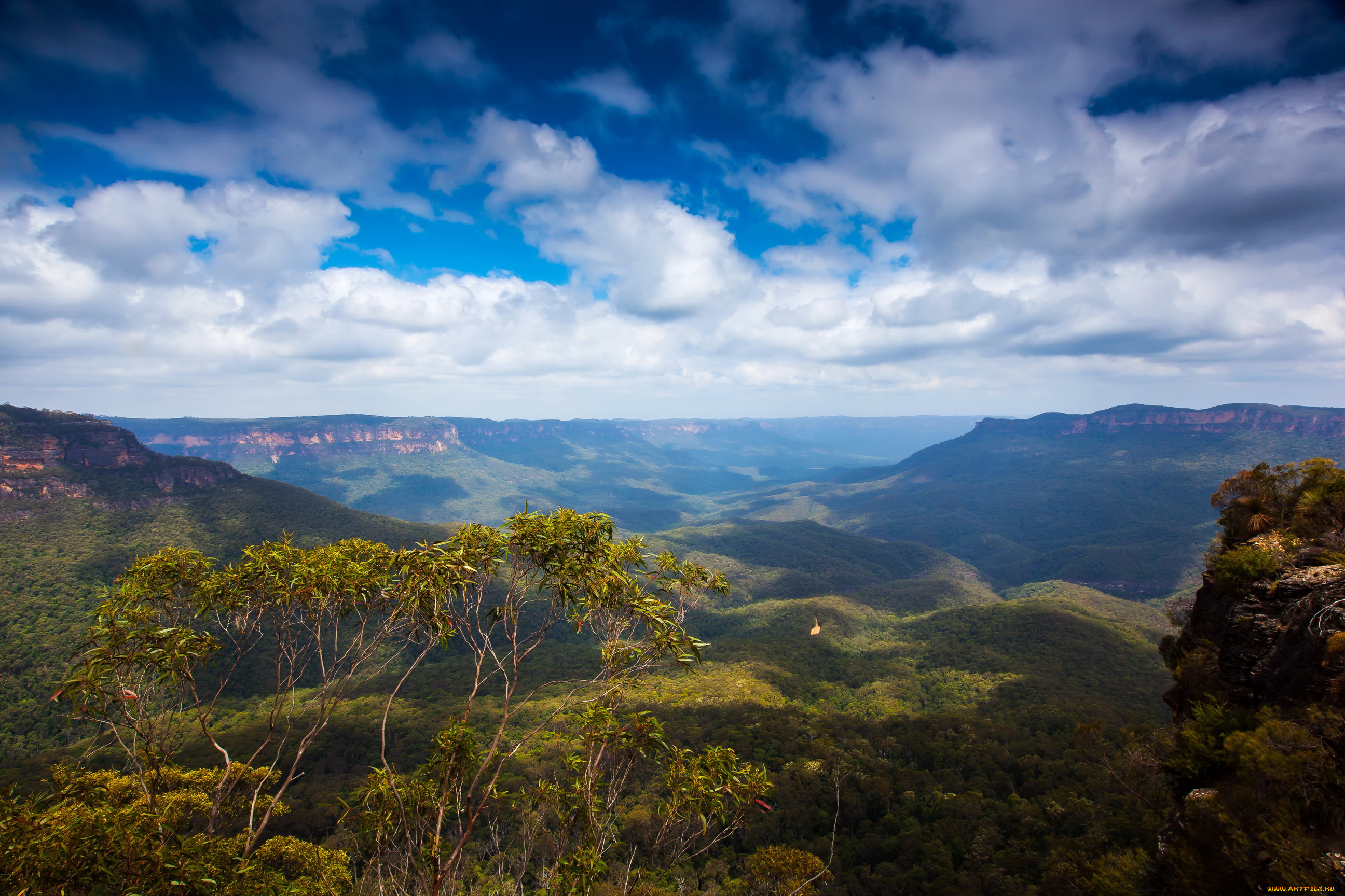 blue, mountain, national, park, австралия, природа, горы, парк, лес