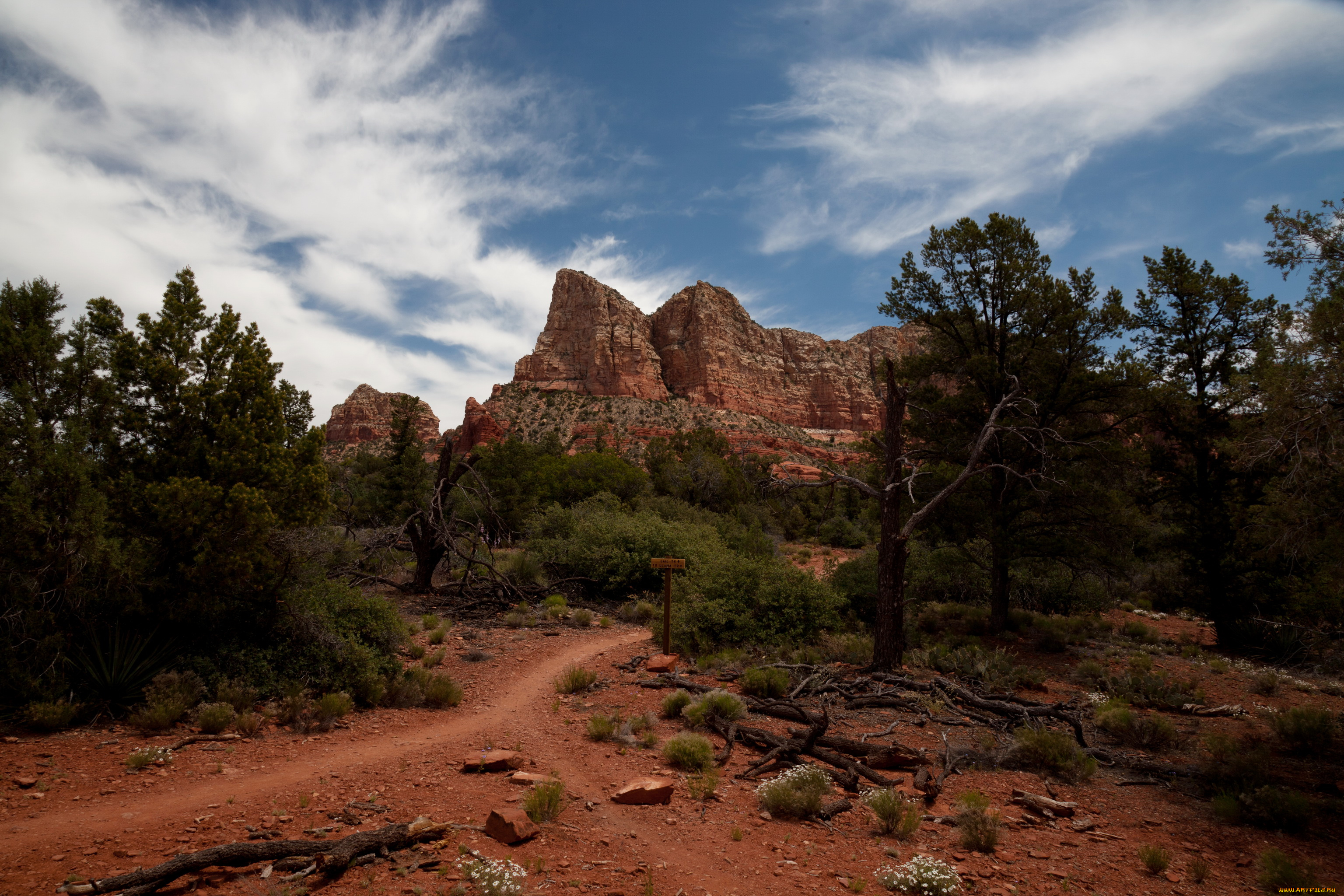 sedona, arizona, природа, горы, тропа, деревья