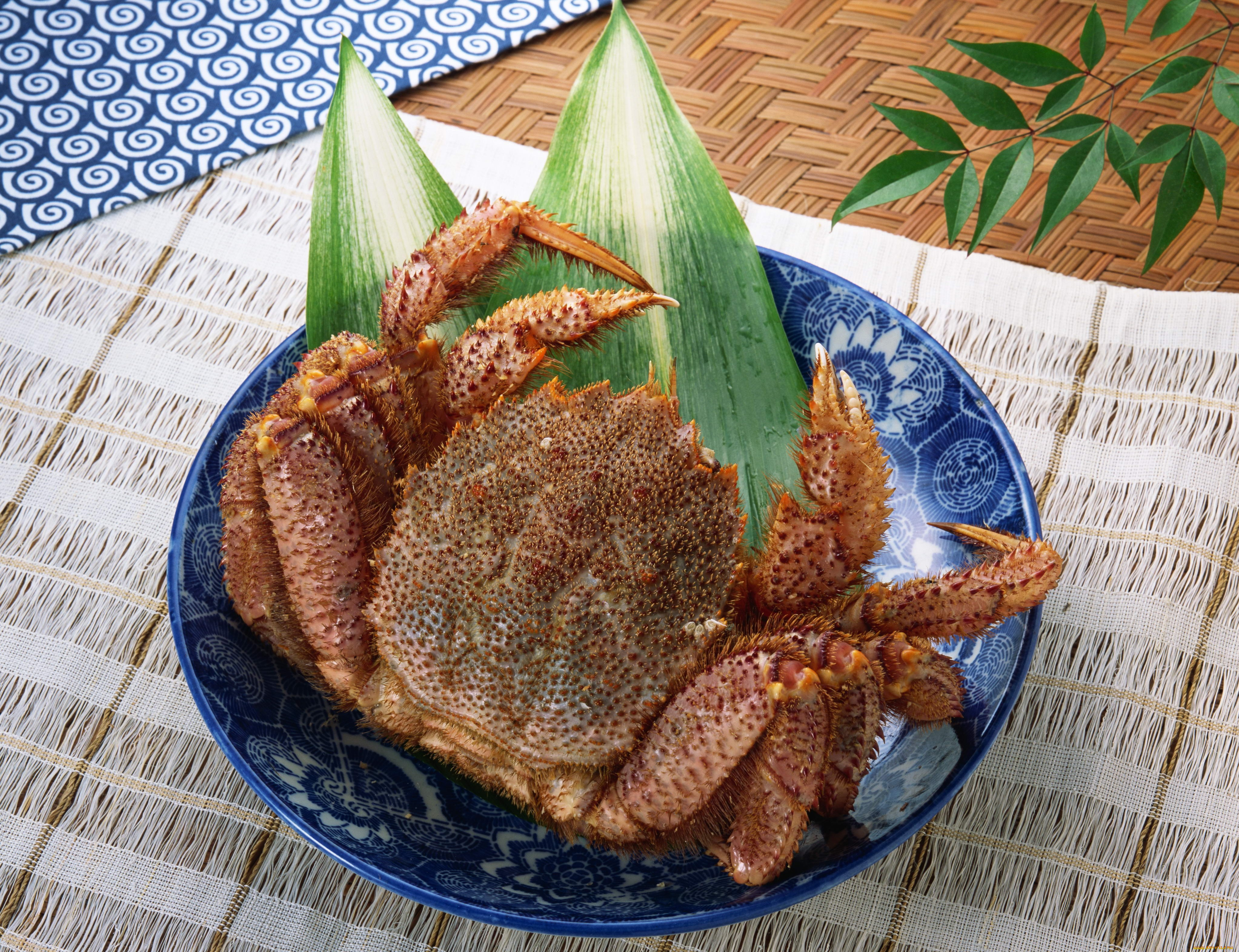 еда, рыба, морепродукты, суши, роллы, блюдо, краб