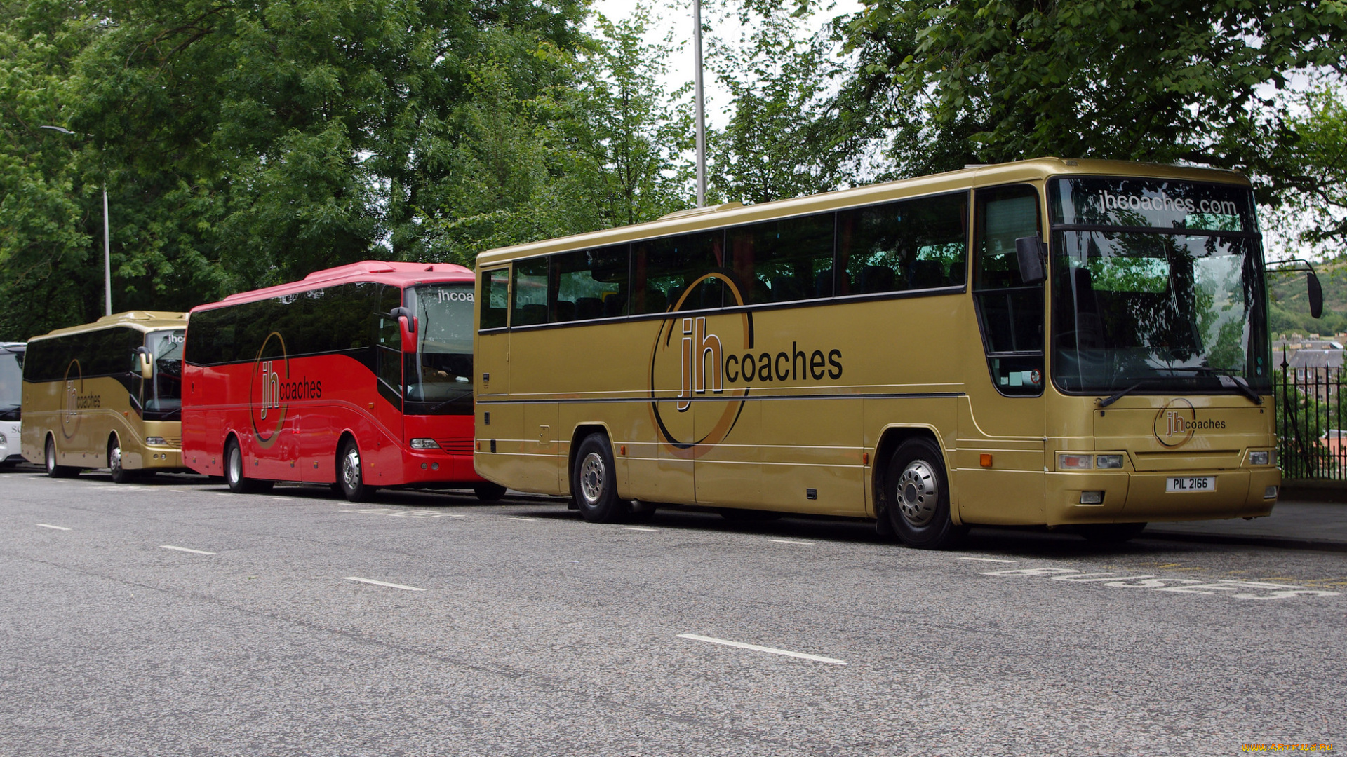 автомобили, автобусы, туристический, автобус