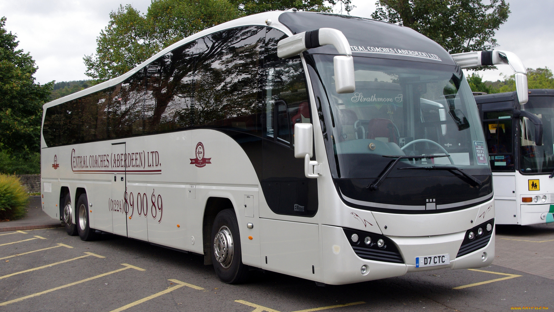 автомобили, автобусы, туристический, автобус