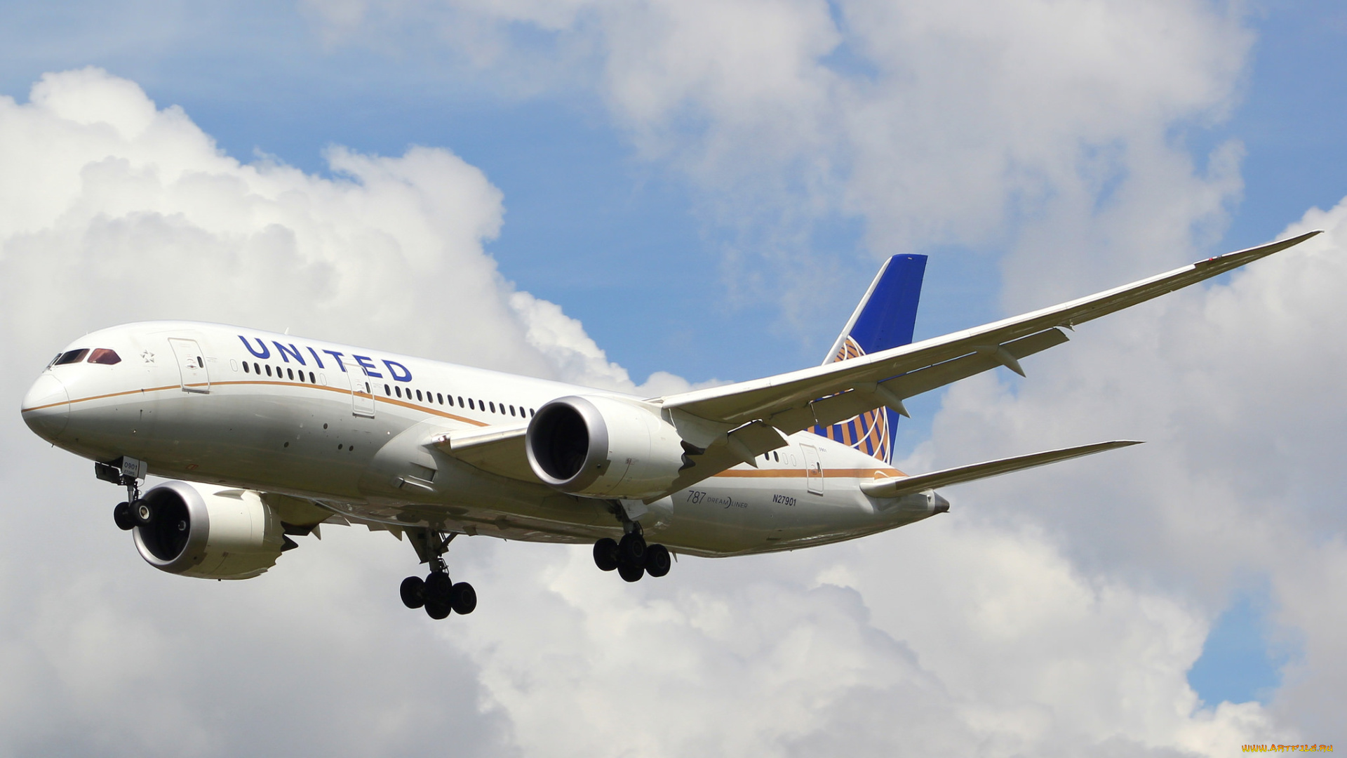 boeing, 787, united, авиация, пассажирские, самолёты, полет, небо, авиалайнер