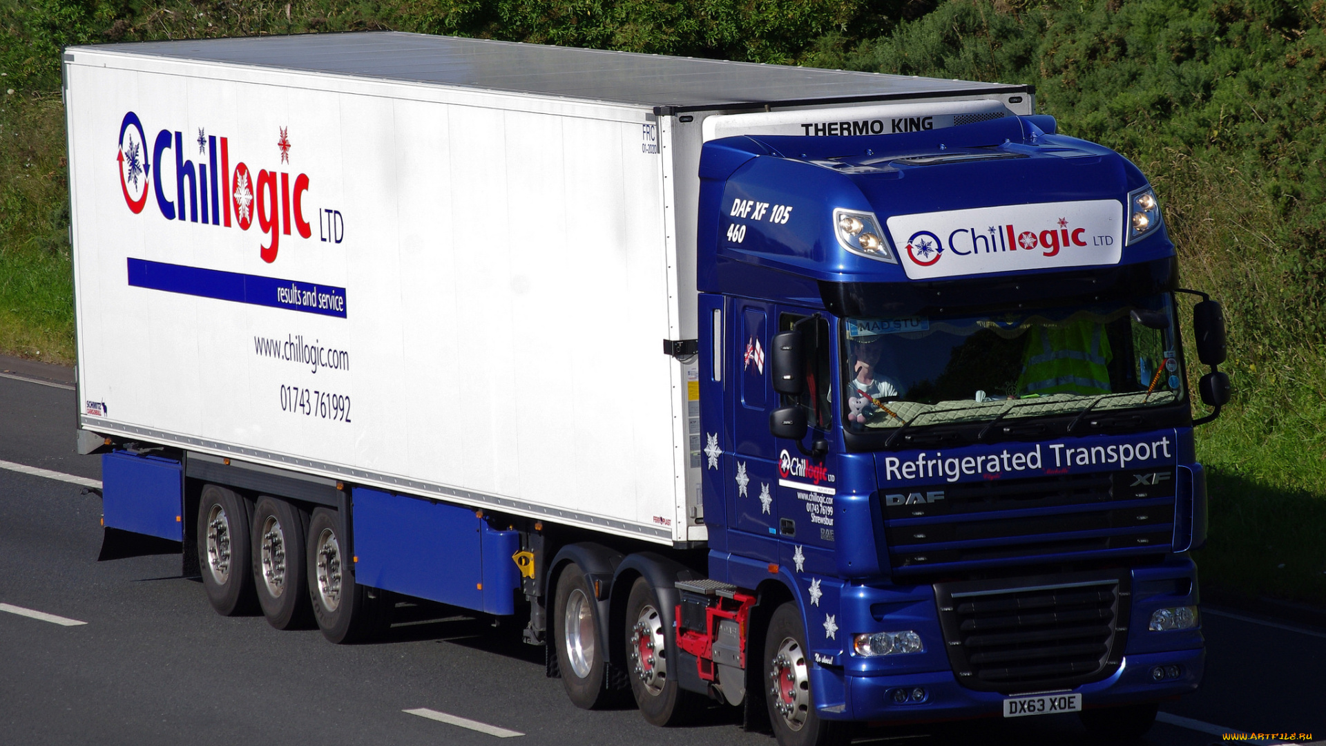 daf, xf, 105, 460, автомобили, daf, , выставка, улица, тяжелый, тягач, седельный, грузовик