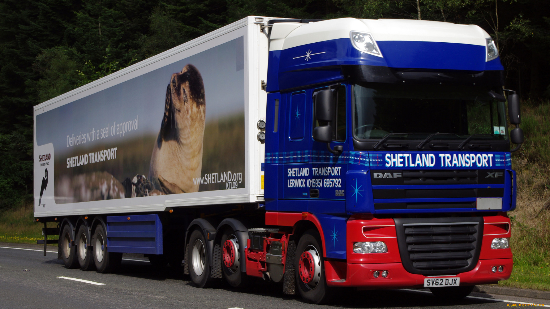 daf, xf, автомобили, daf, , выставка, улица, седельный, грузовик, тяжелый, тягач