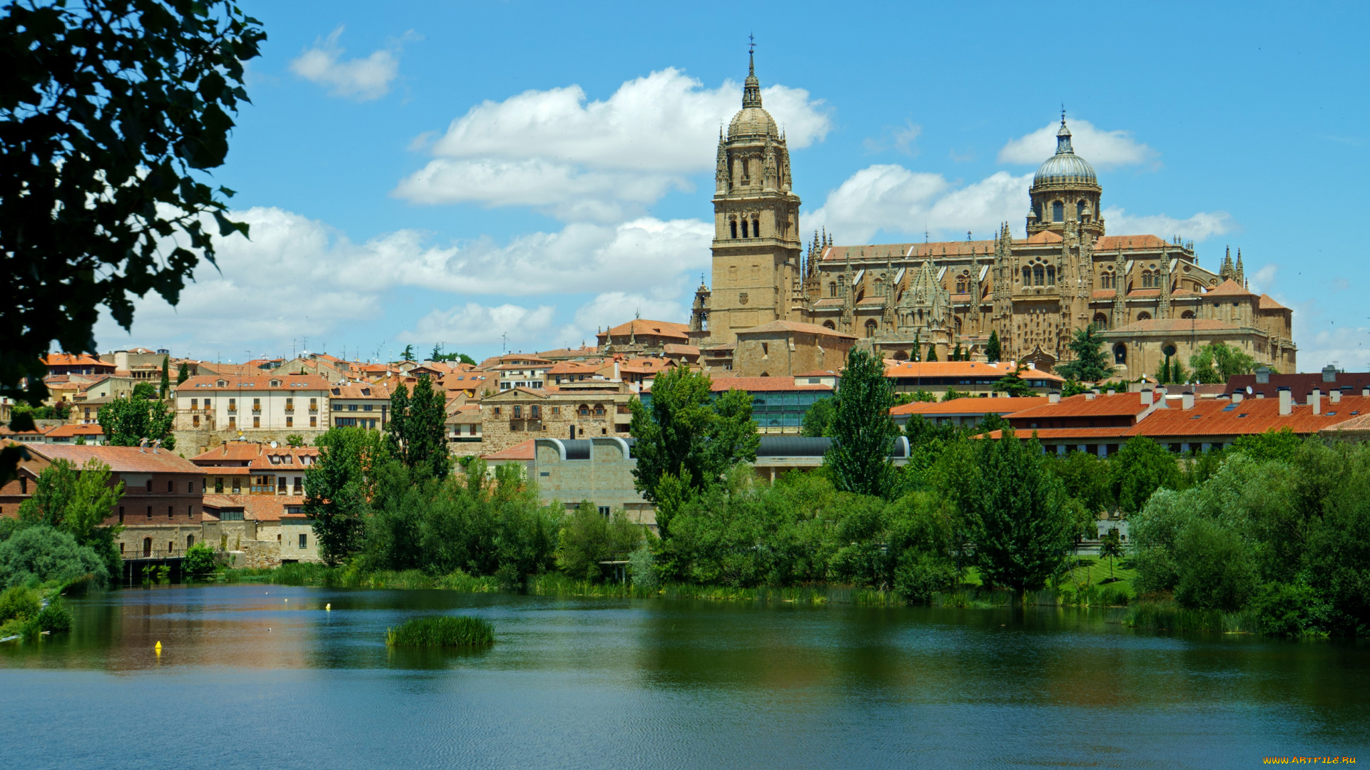испания, саламанка, города, -, улицы, , площади, , набережные, деревья, дома, испания, саламанка, река, дворец, salamanca