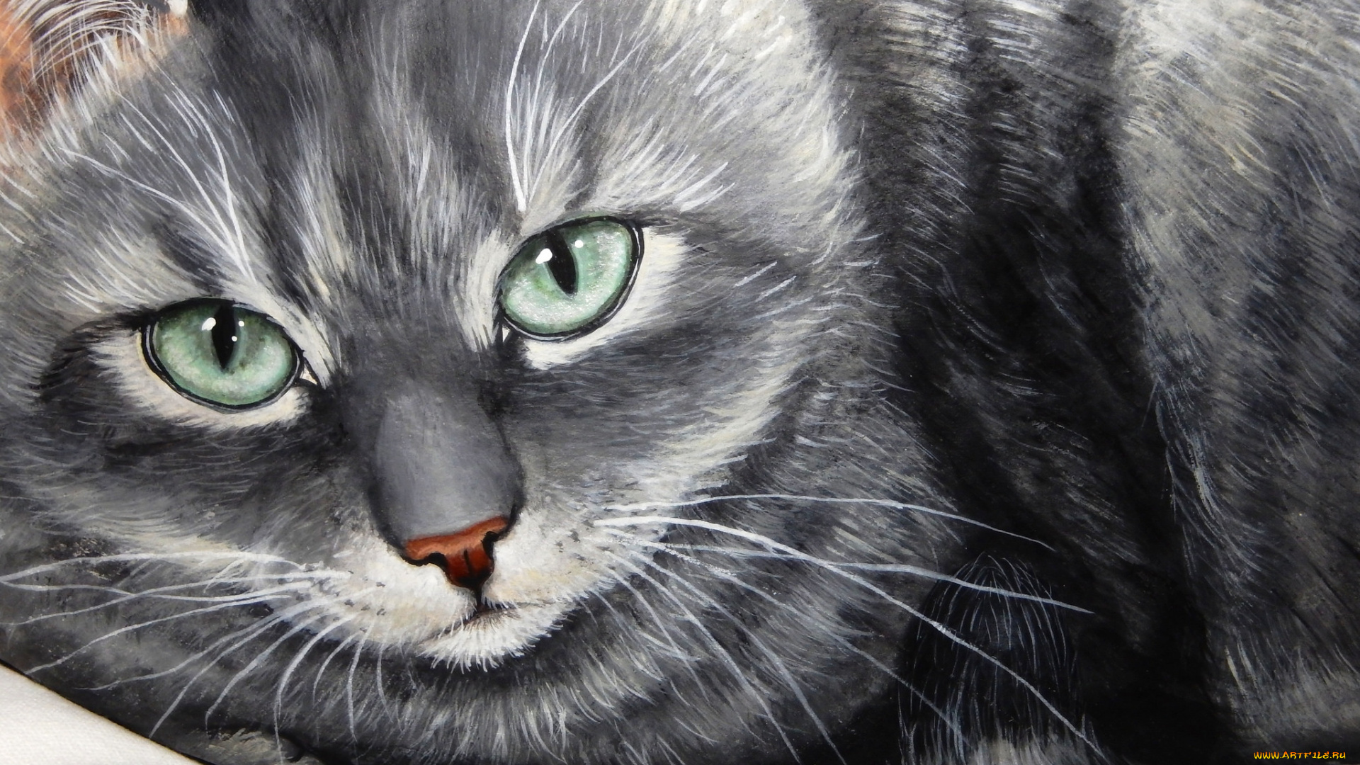 рисованные, животные, , коты, взгляд, серый, кот