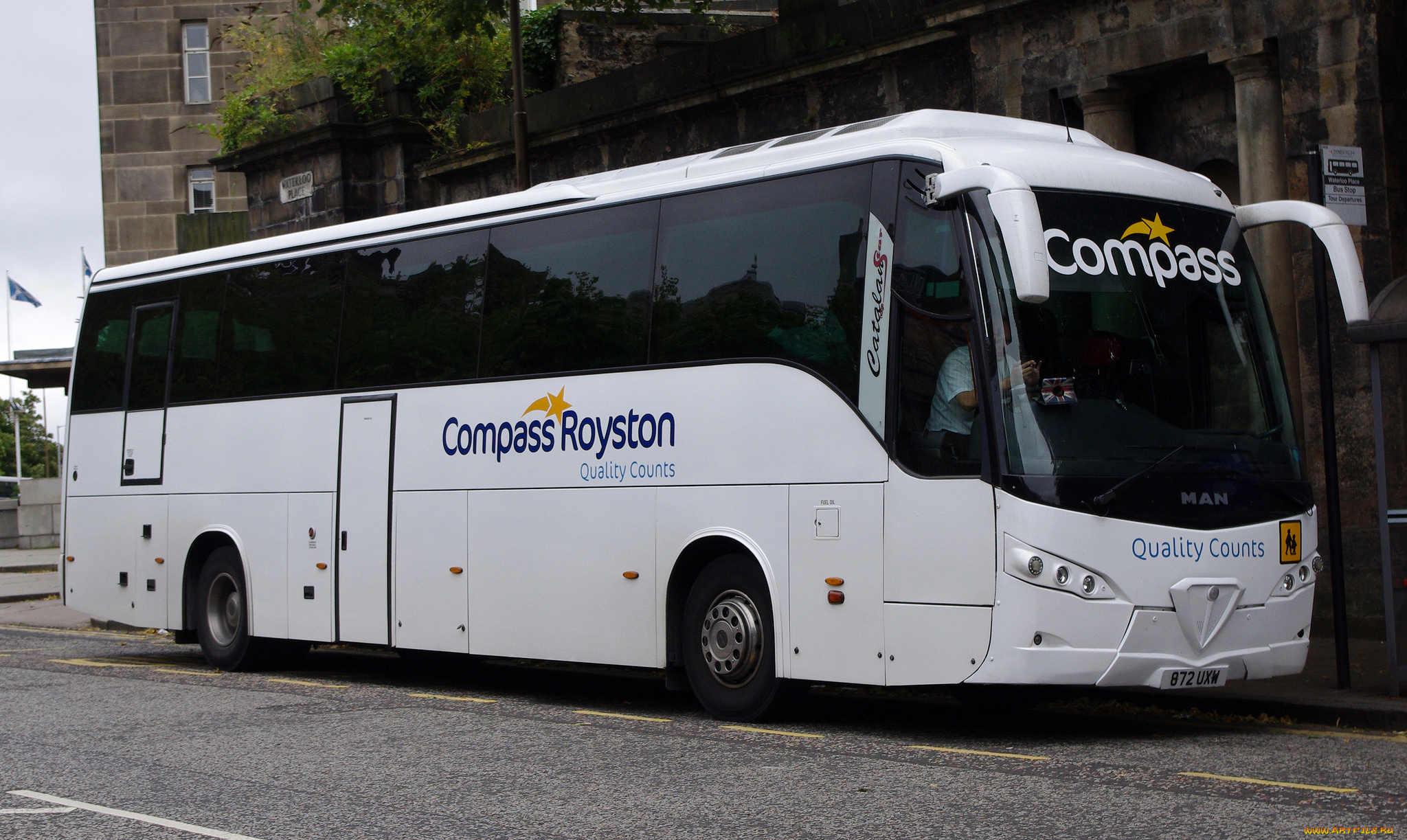 автомобили, автобусы, автобус, туристический