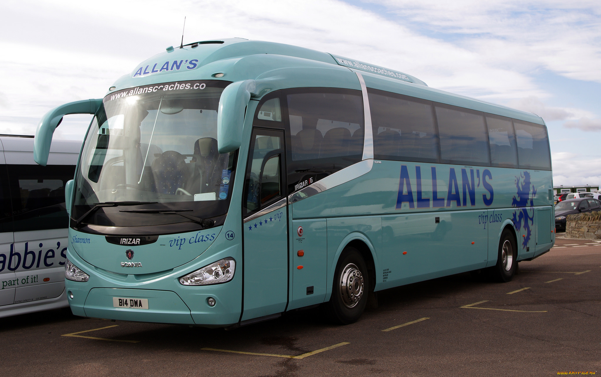 автомобили, автобусы, автобус, туристический