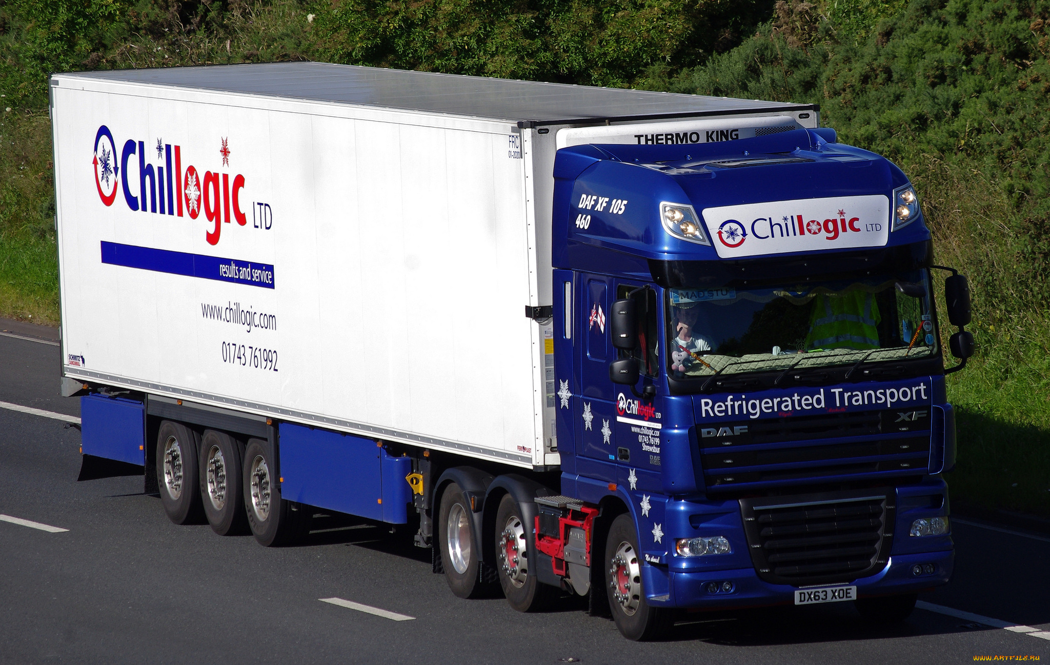 daf, xf, 105, 460, автомобили, daf, , выставка, улица, тяжелый, тягач, седельный, грузовик