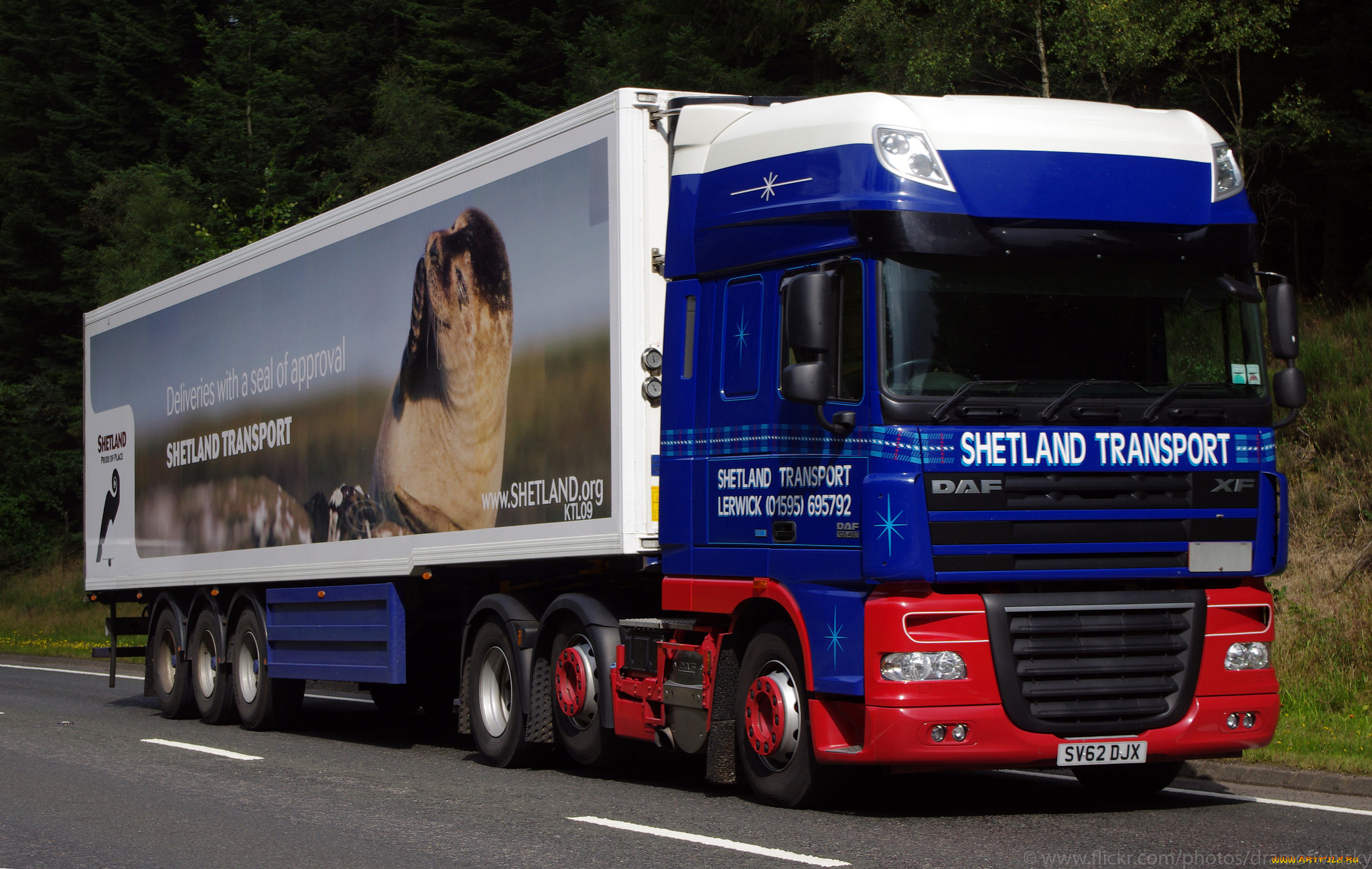 daf, xf, автомобили, daf, , выставка, улица, седельный, грузовик, тяжелый, тягач