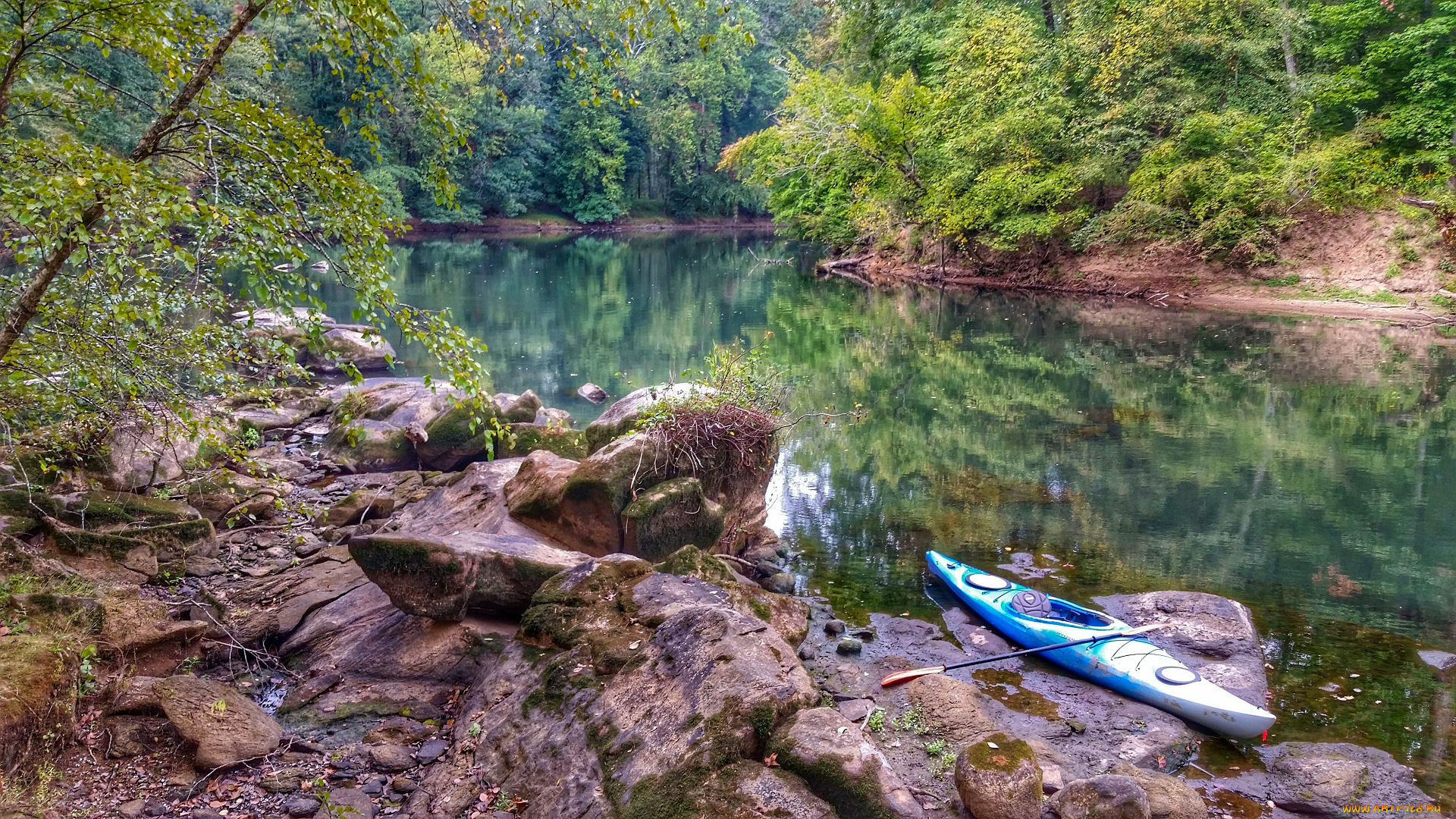 корабли, лодки, , шлюпки, байдарка, река, лес