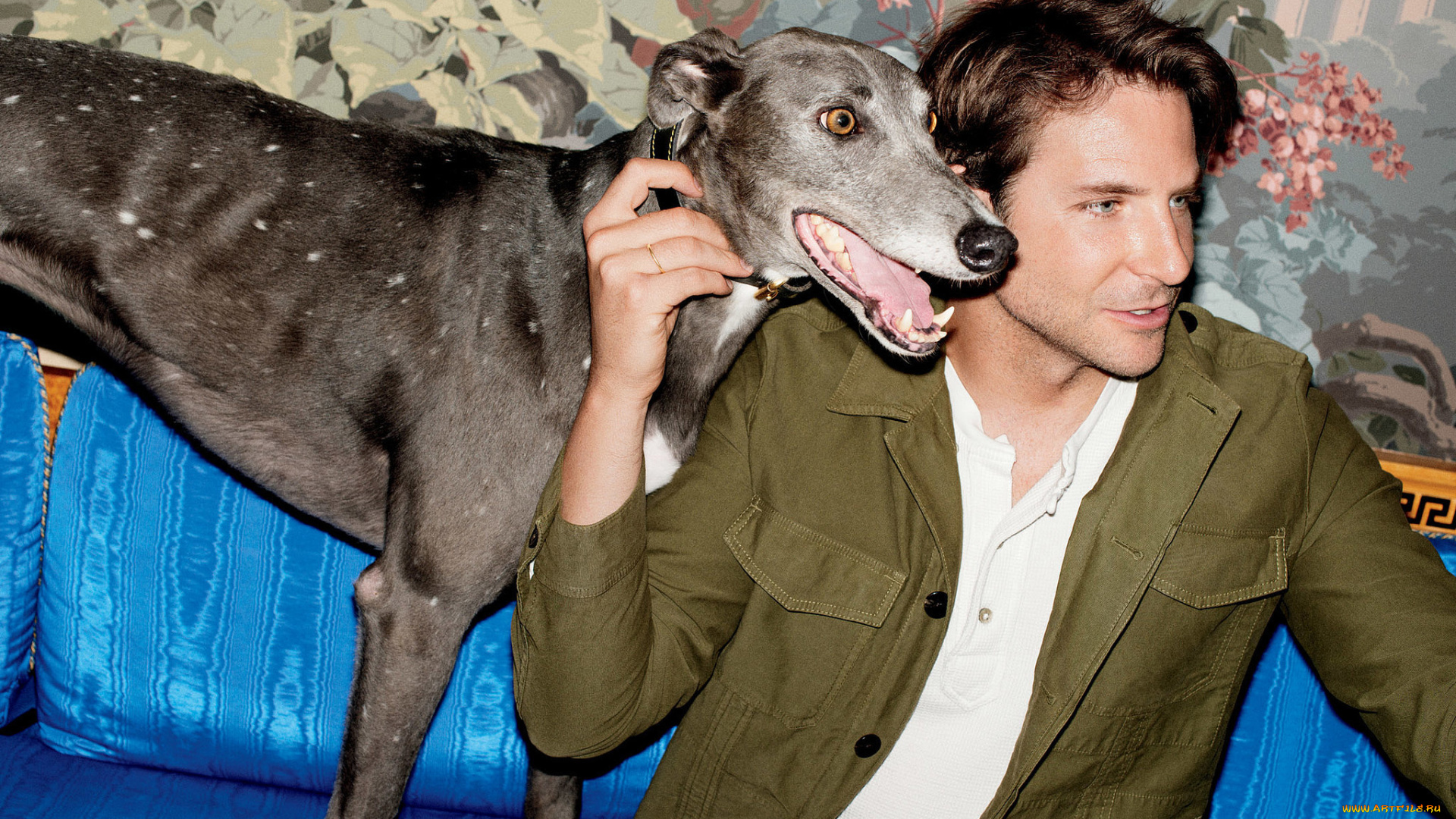 мужчины, bradley, cooper, фото, bradley, cooper, брэдли, купер, собака, диван, katja, rahlwes, details, актер