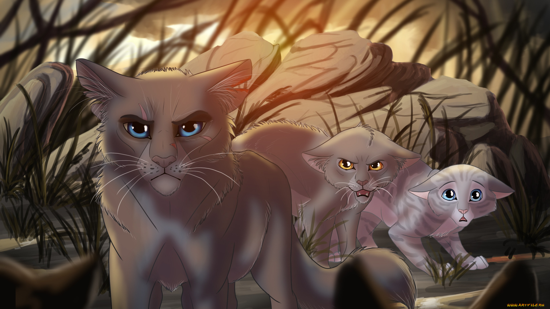 рисованное, животные, , коты, фон, взгляд, кошки