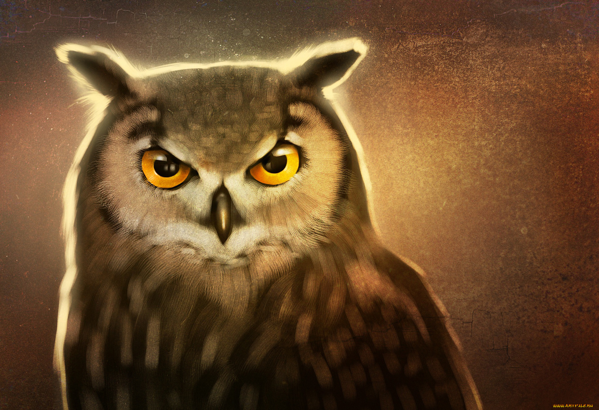 рисованное, животные, , птицы, , совы, , филины, взгляд, art, сова, птица, клюв, глаза