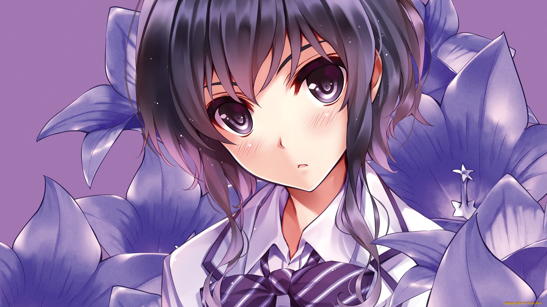 аниме, saenai, heroine, no, sodatekata, взгляд, фон, девушка