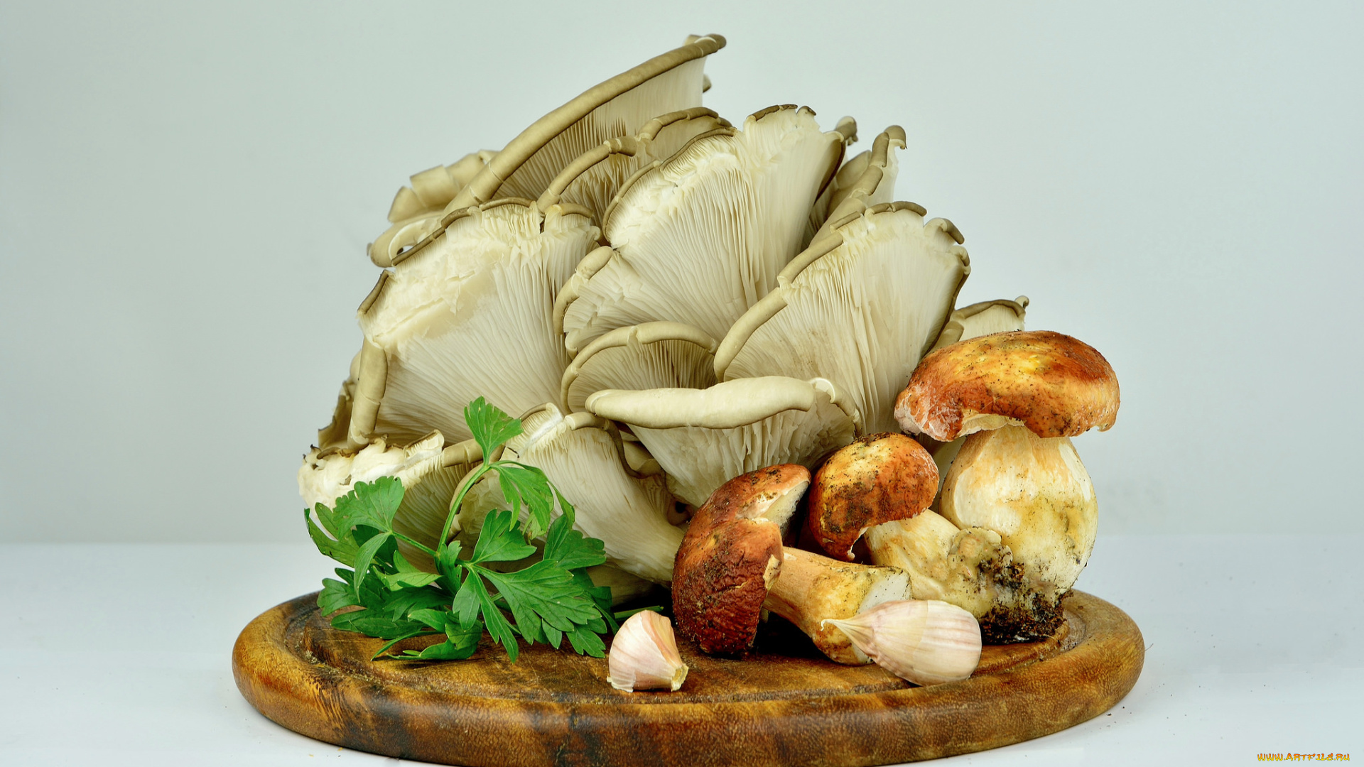 еда, грибы, , грибные, блюда, грибочки