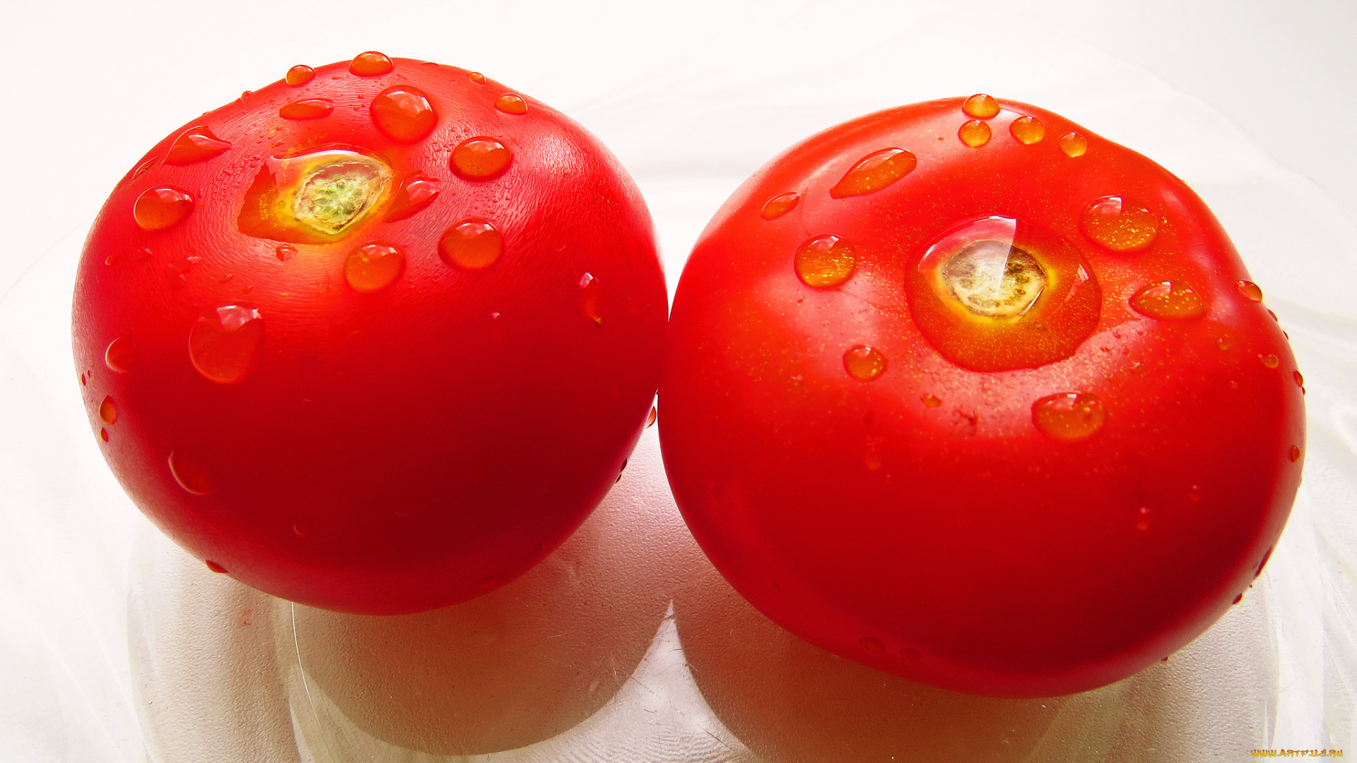 еда, помидоры, томаты