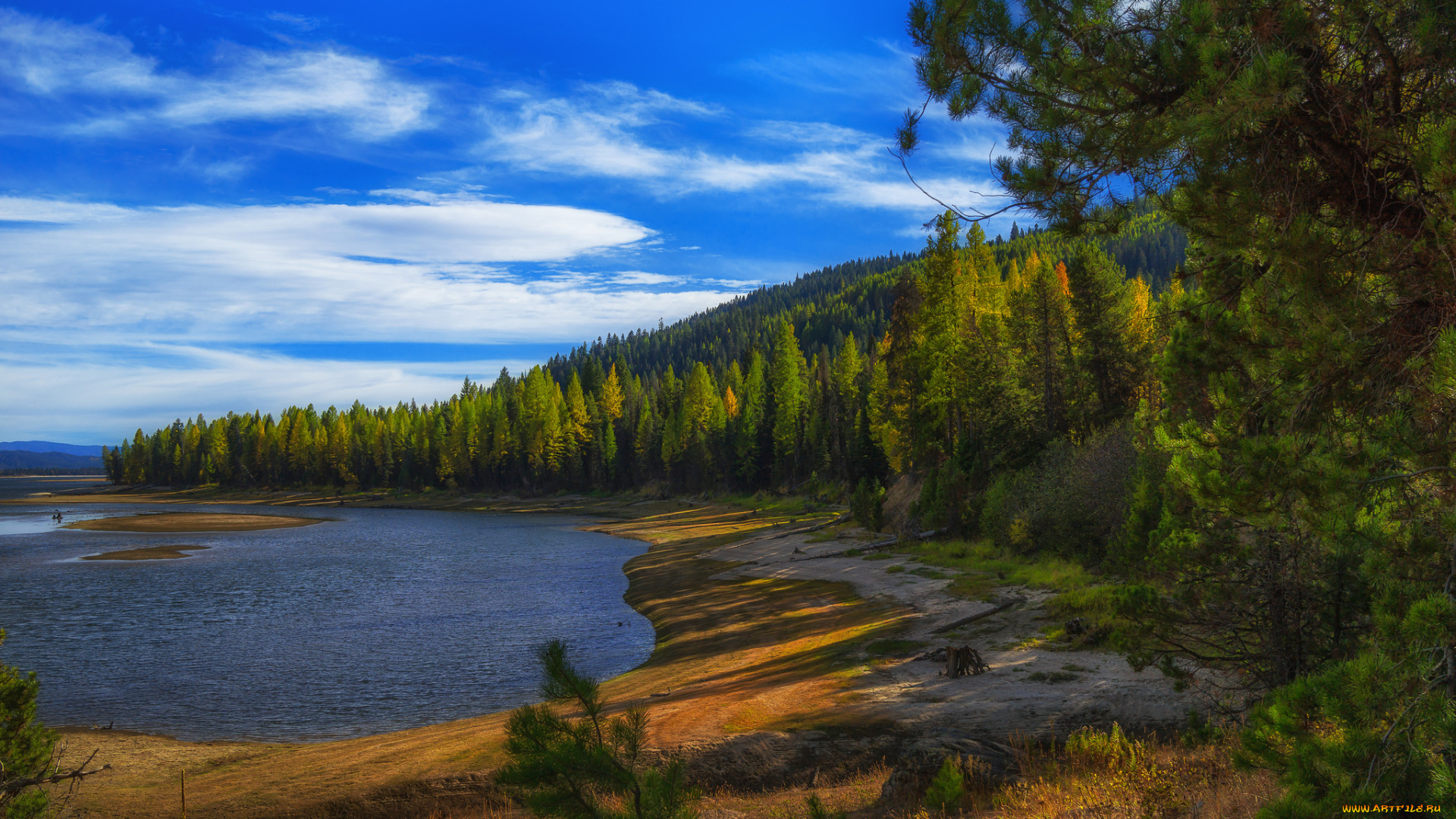 природа, реки, озера, лес, река