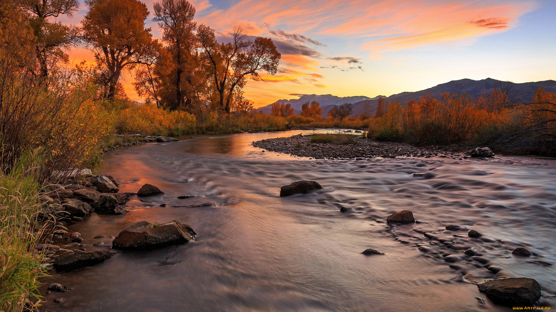 природа, реки, озера, река, лес