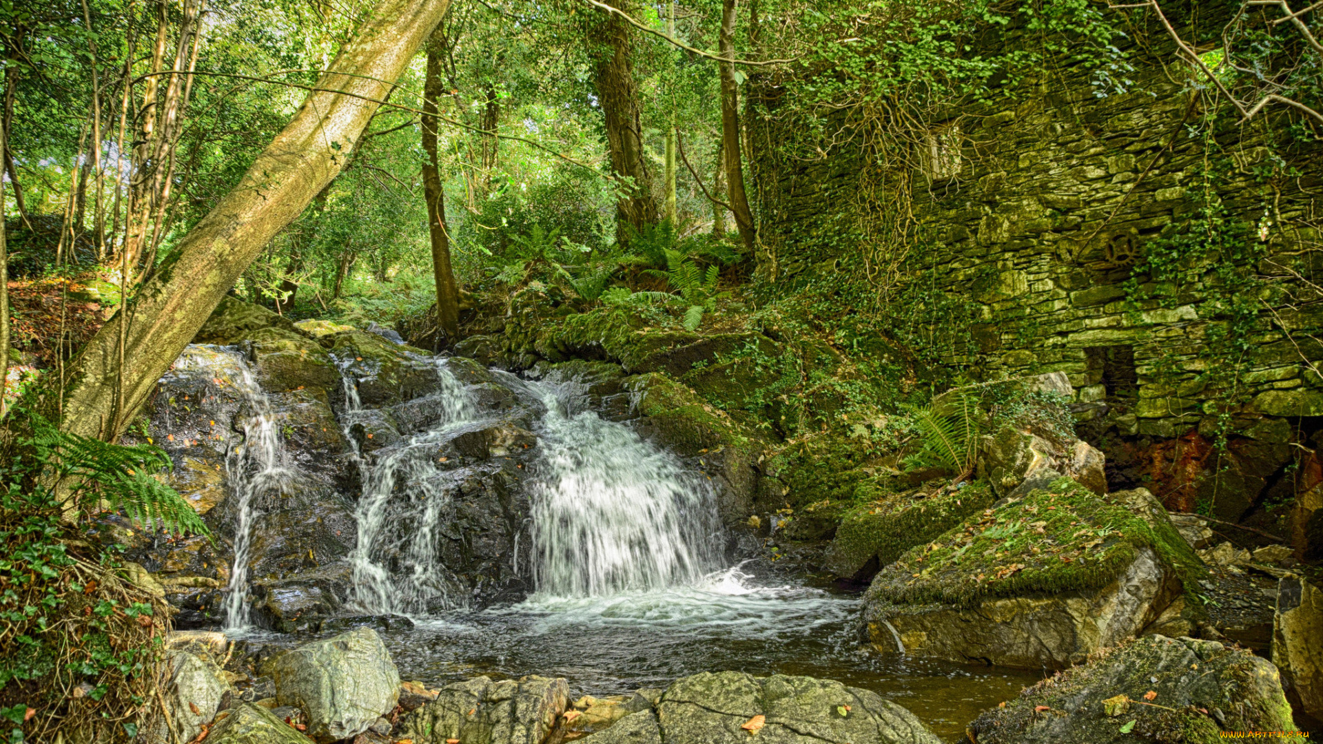 природа, водопады, река, лес, водопад