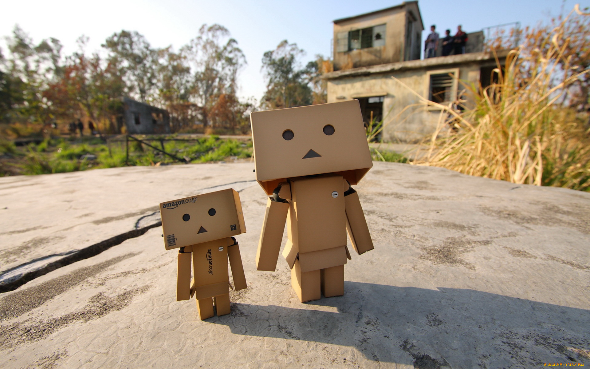 разное, данбо, , danboard, коробочка