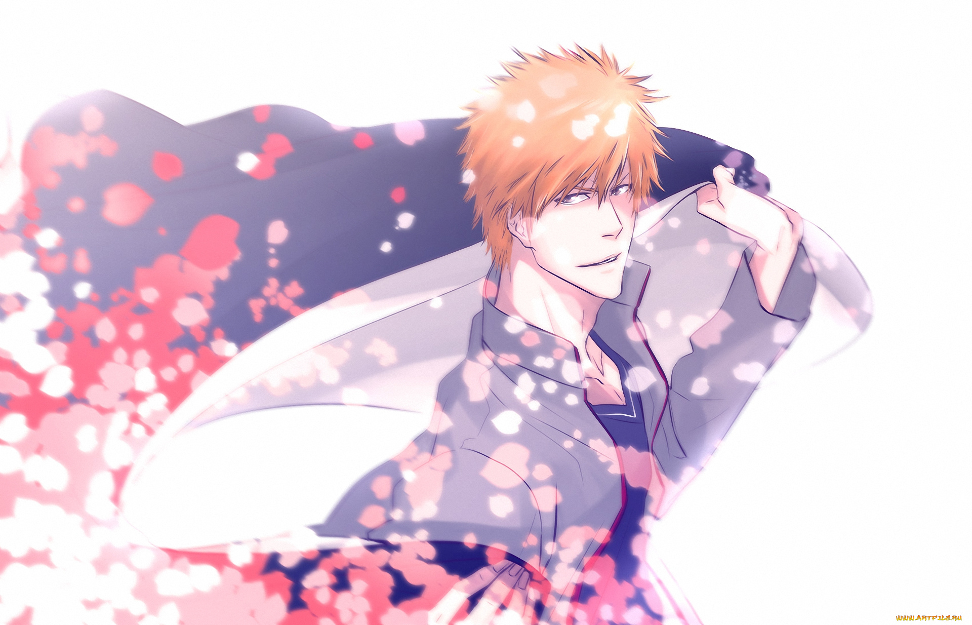 аниме, bleach, ичиго, shinigami, ichigo, kurosaki, шинигами