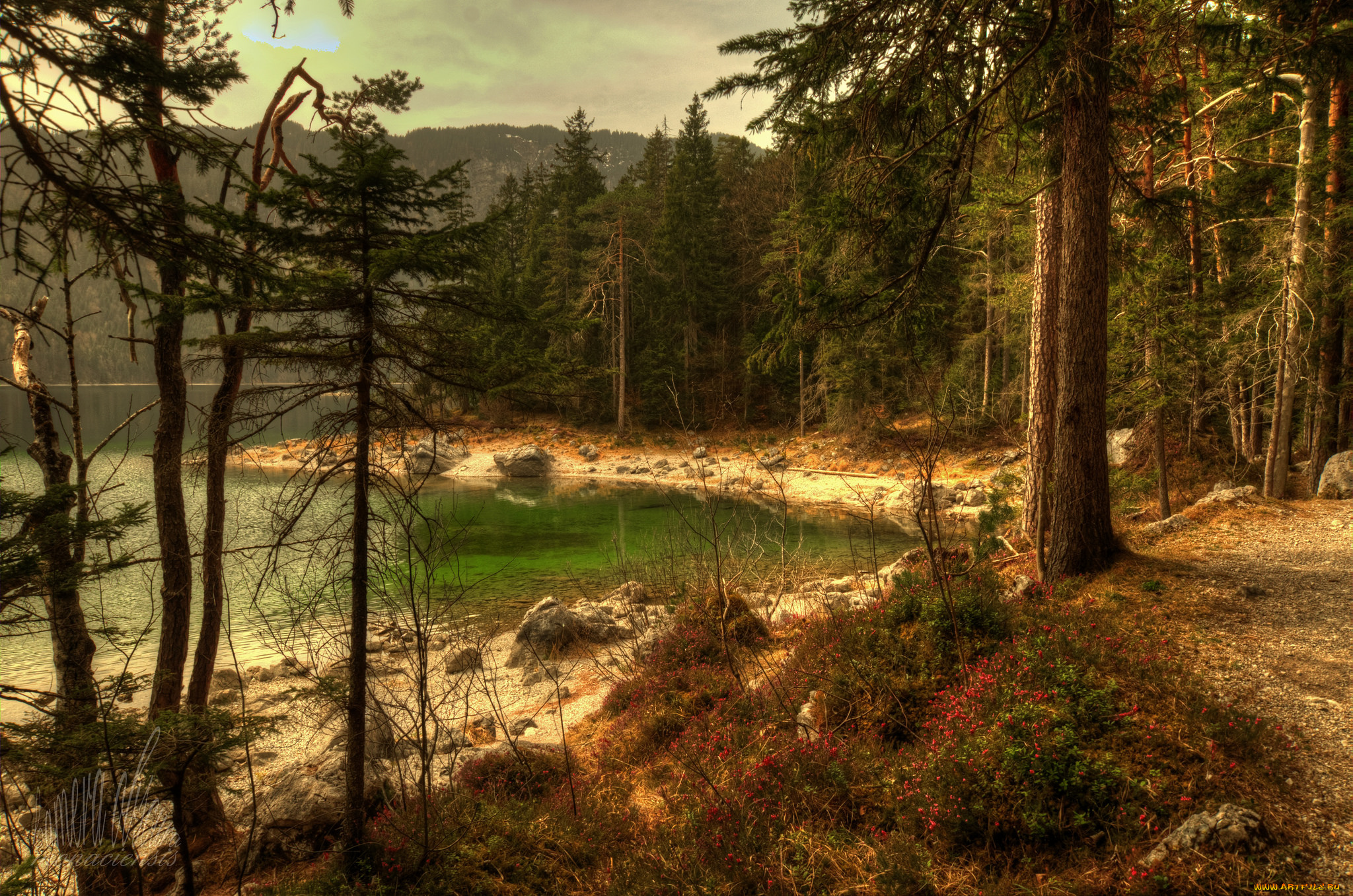 природа, реки, озера, река, лес