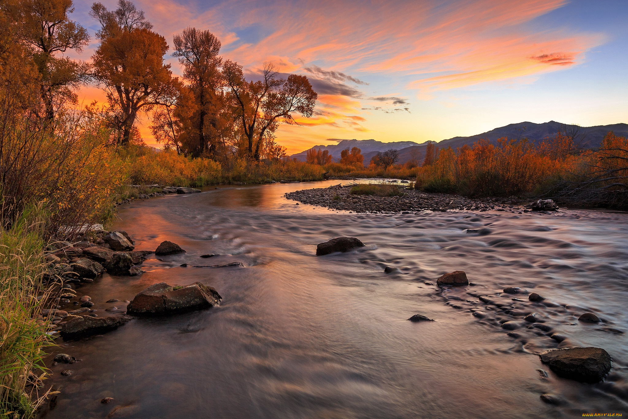 природа, реки, озера, река, лес