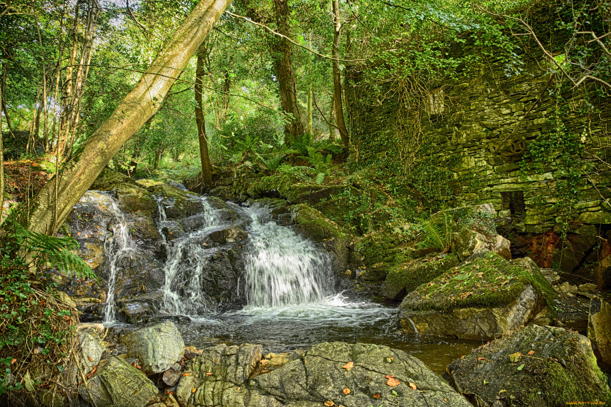 природа, водопады, река, лес, водопад