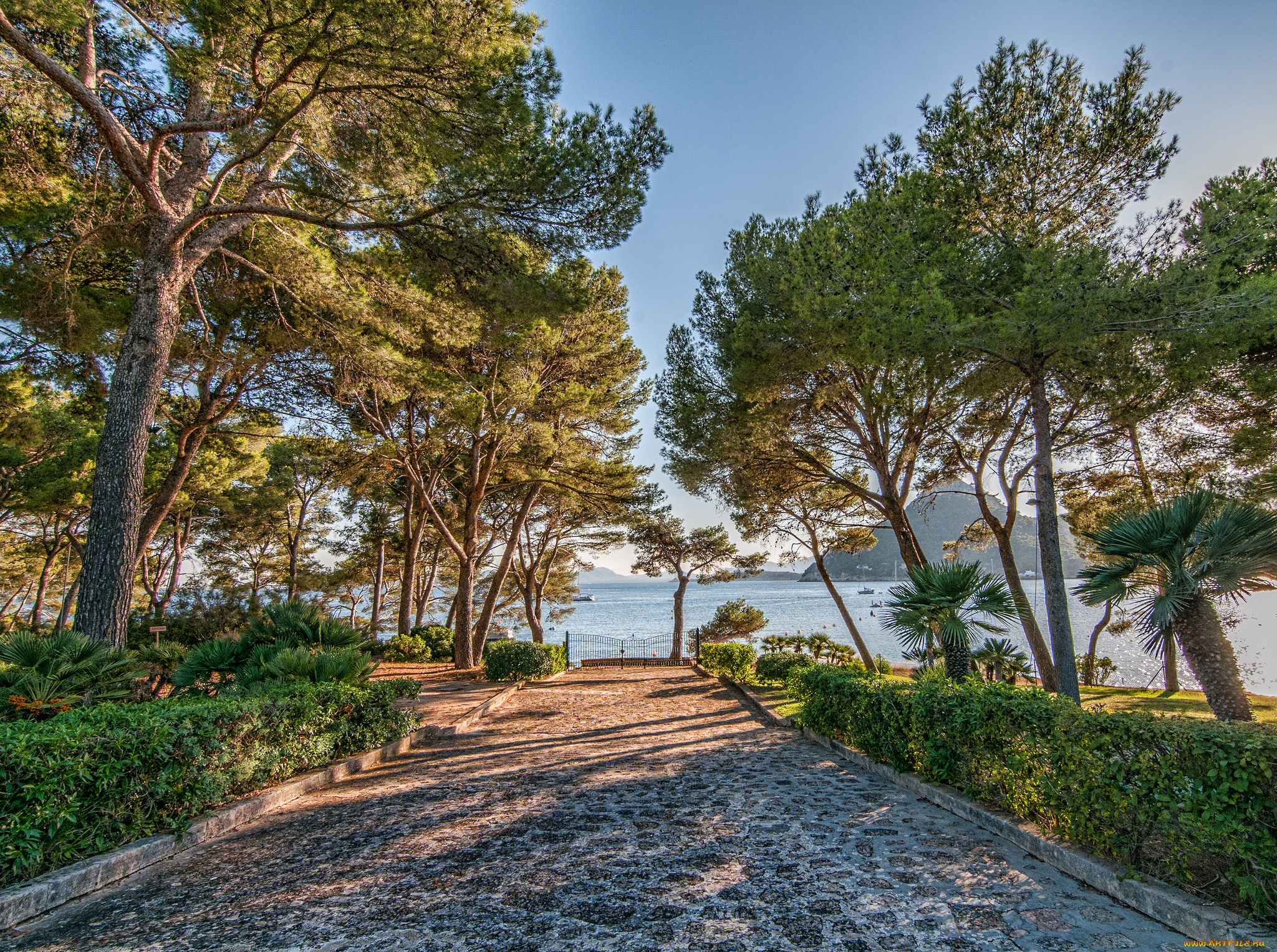 природа, побережье, море, берег