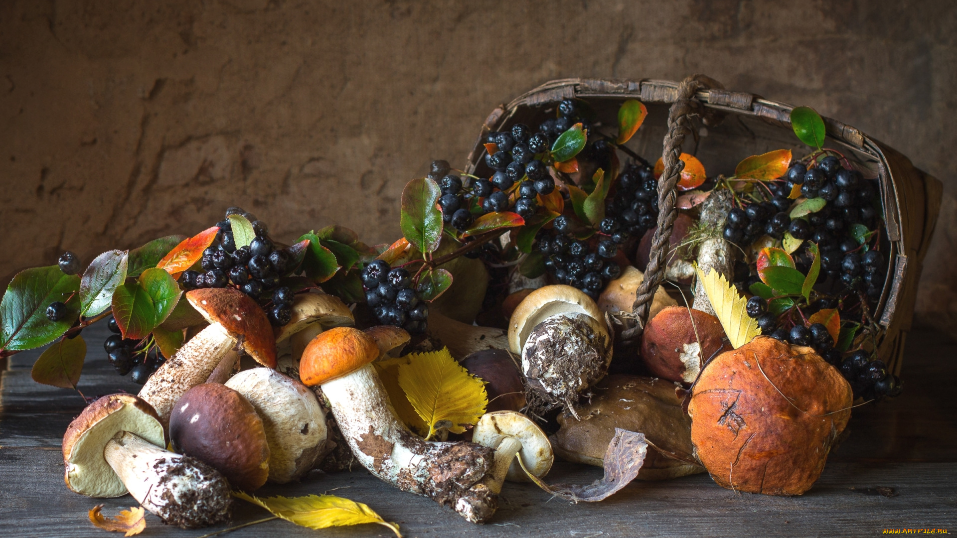 еда, натюрморт, арония, осень, грибы, корзина