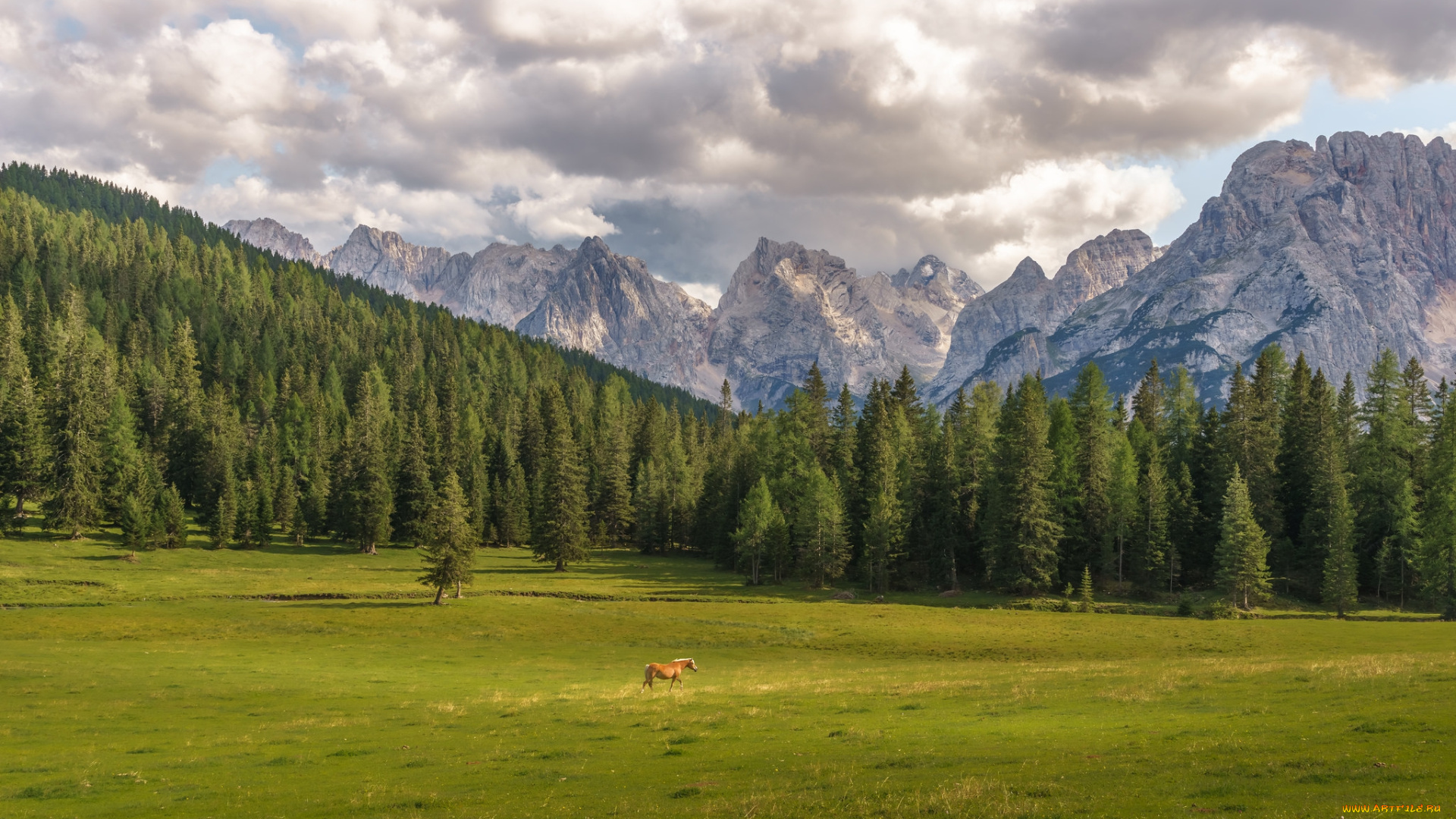 природа, горы, простор