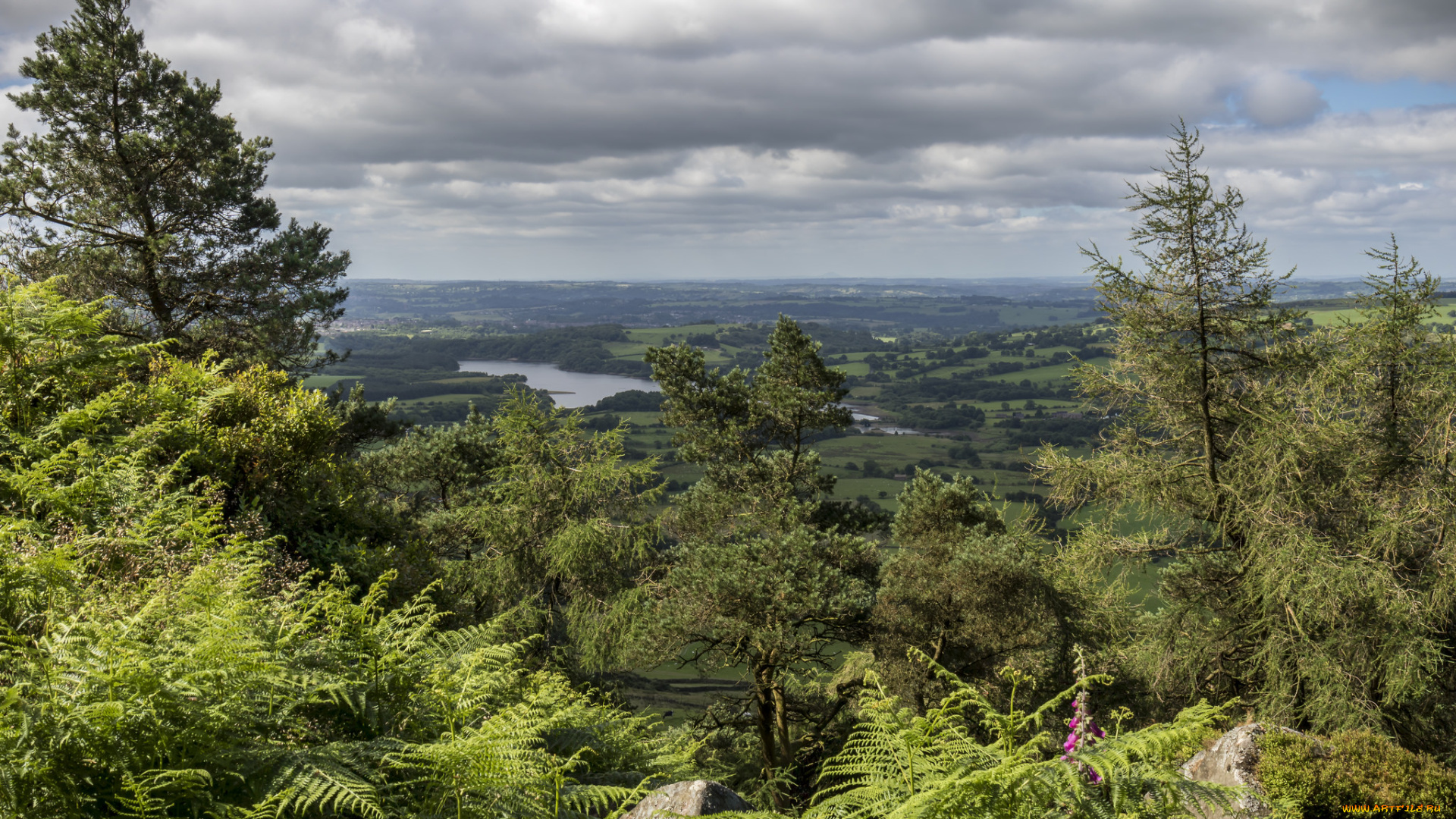 природа, пейзажи, простор