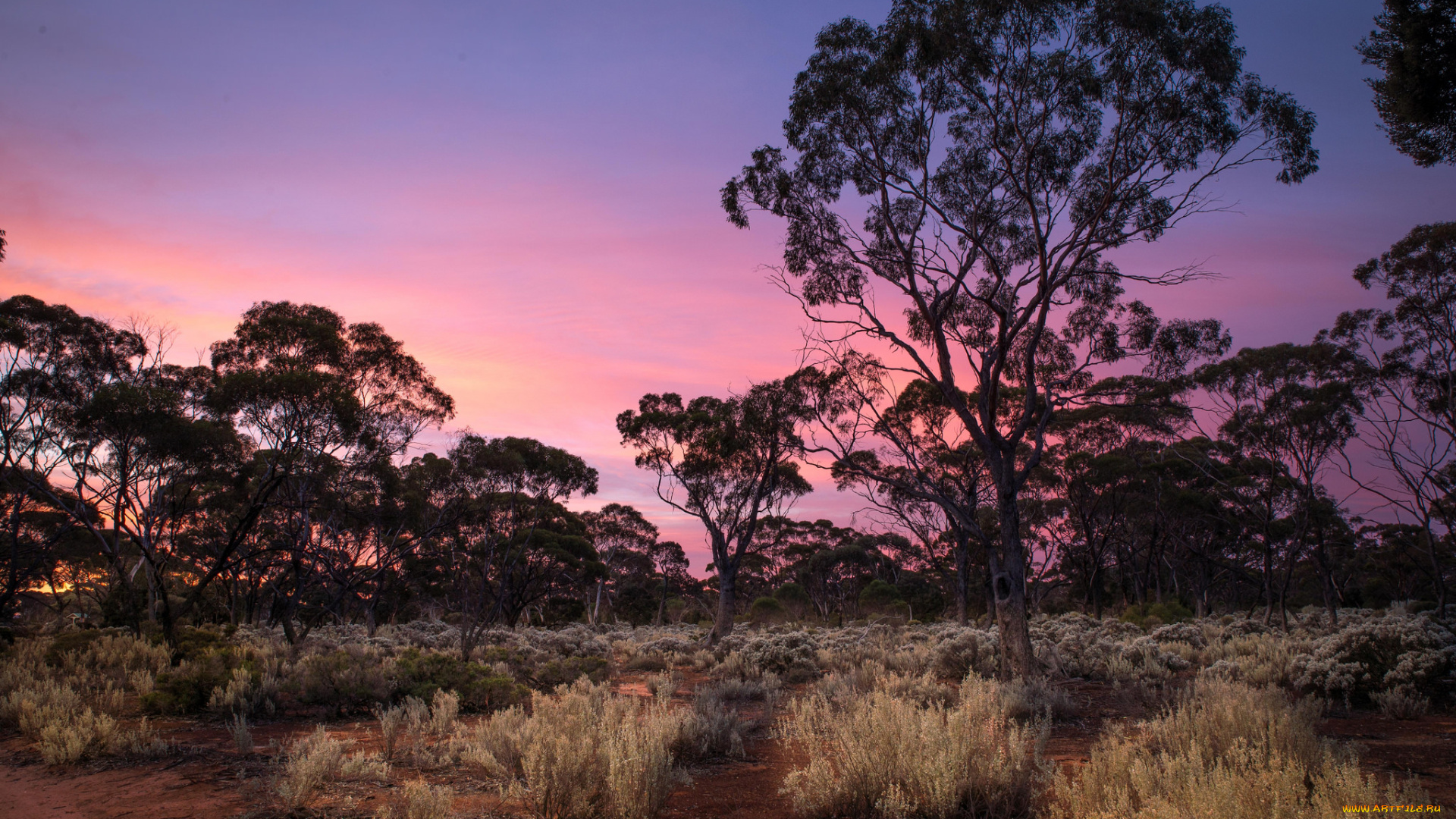 природа, пейзажи, простор