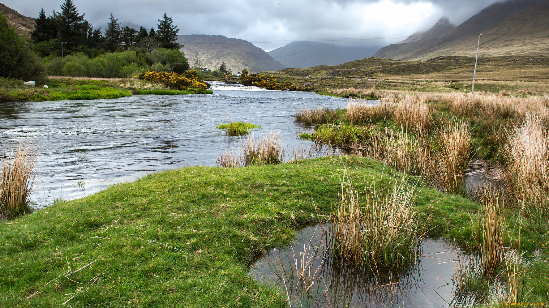 природа, реки, озера, простор