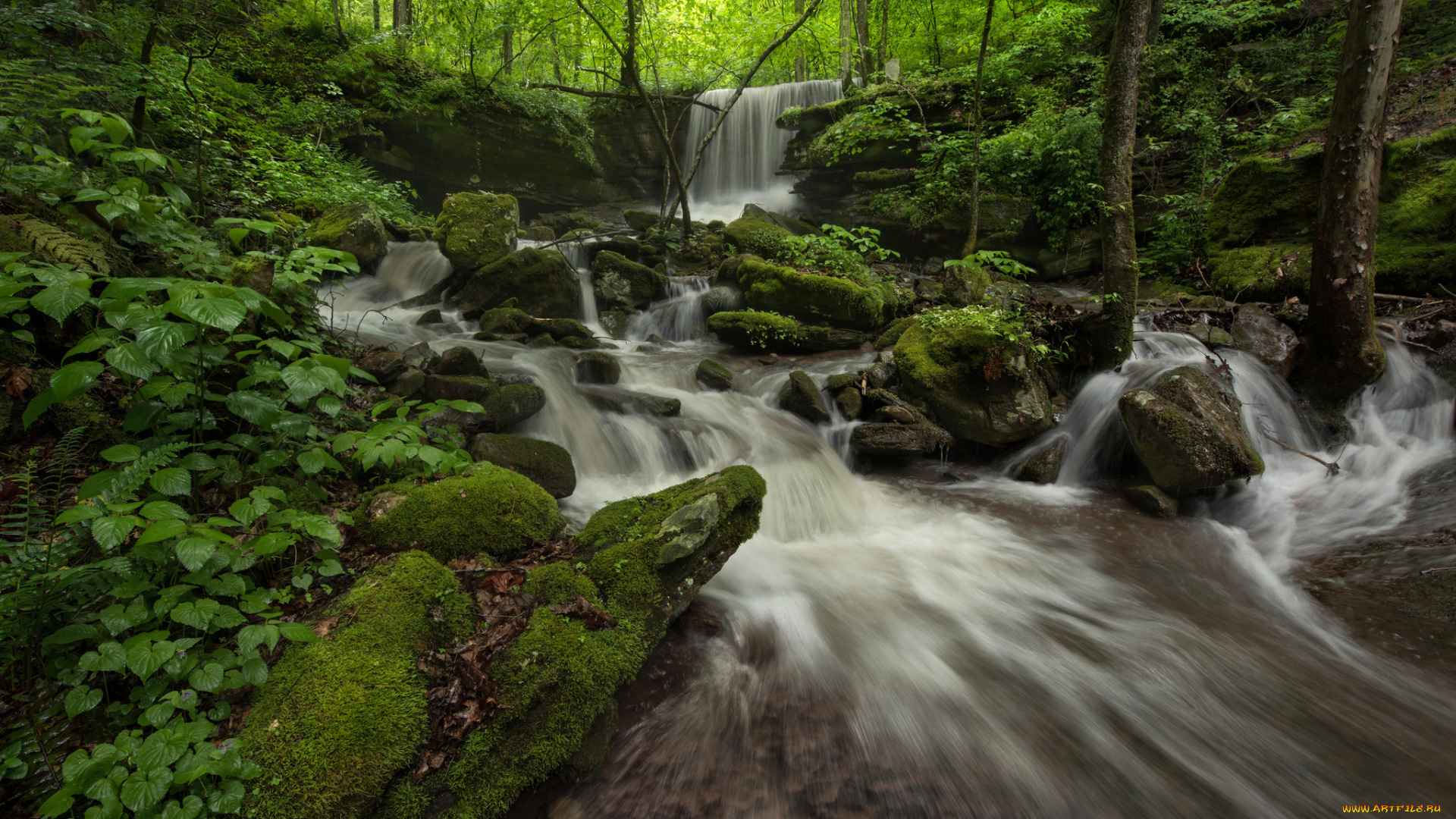 природа, реки, озера, простор