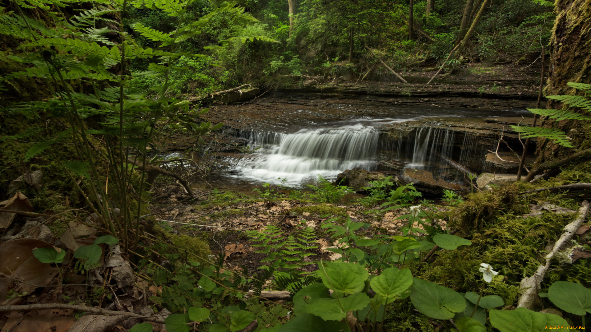 природа, реки, озера, простор