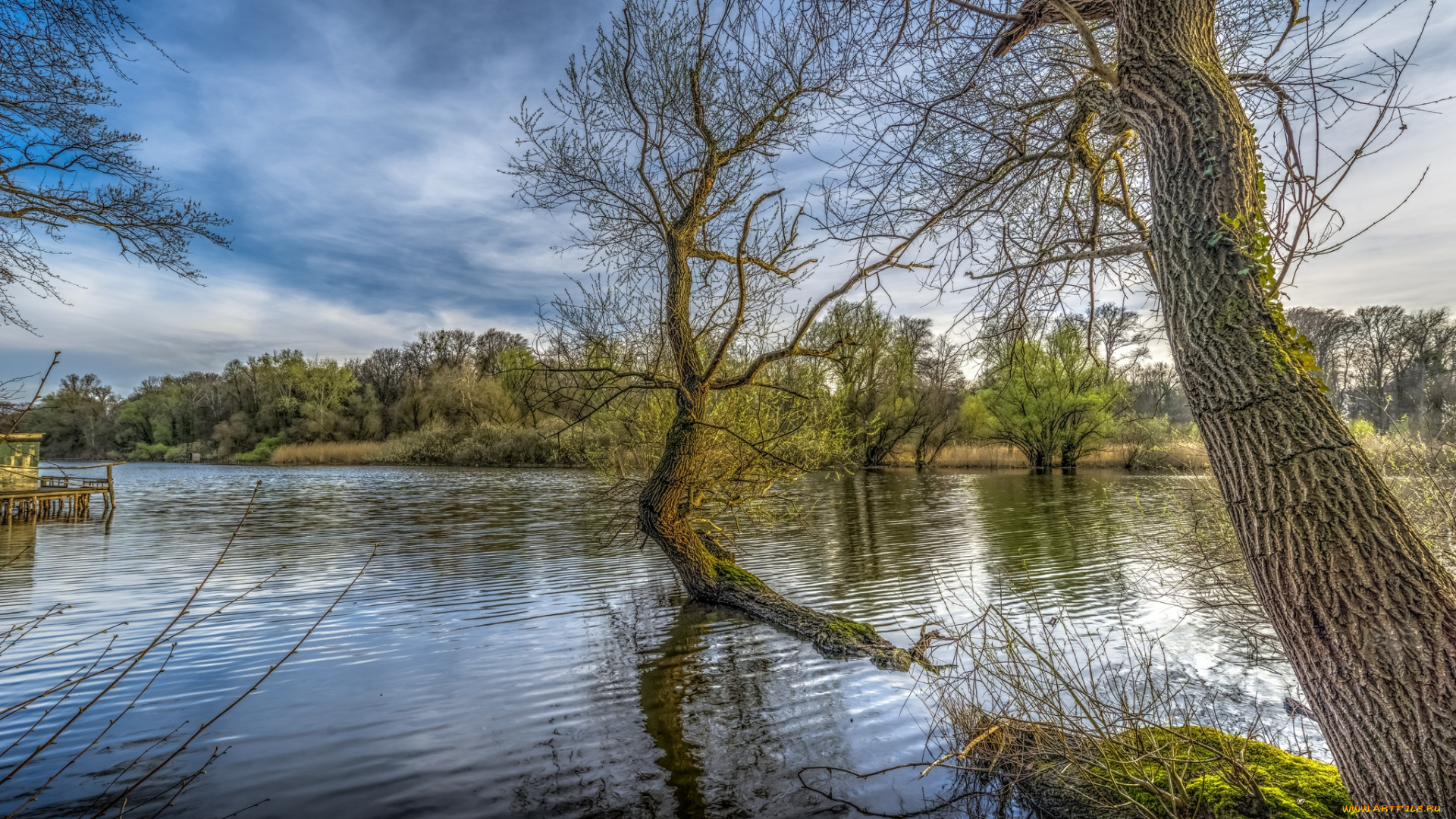 природа, реки, озера, простор