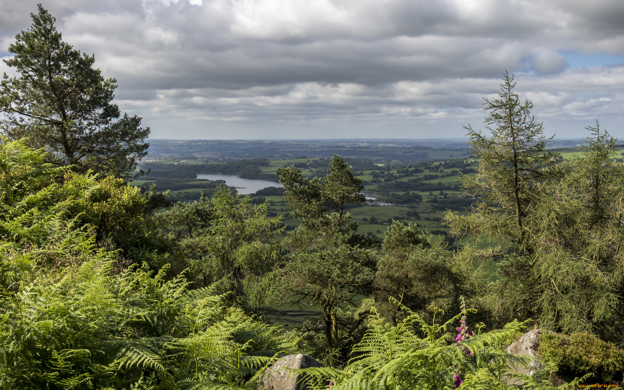 природа, пейзажи, простор