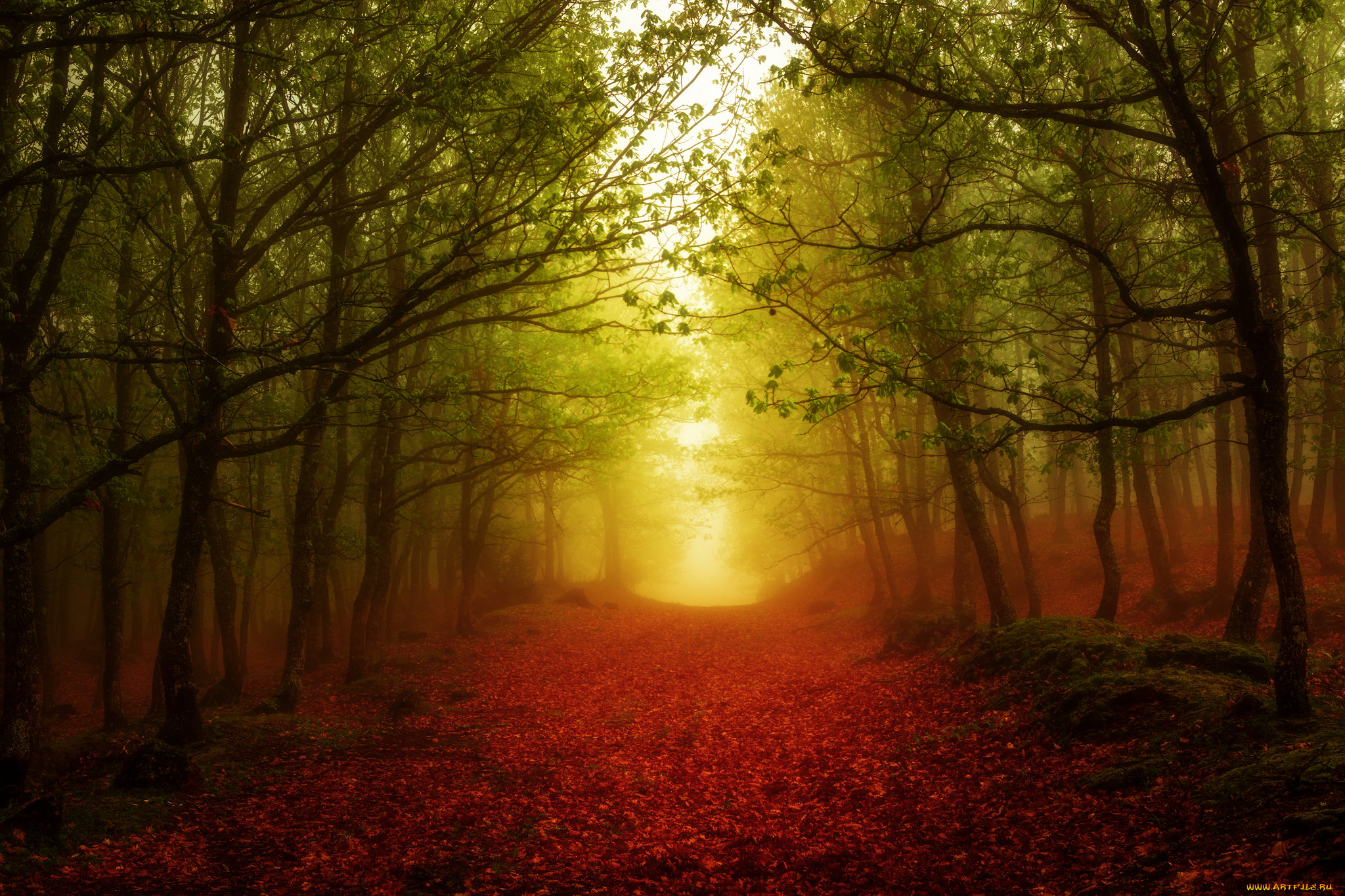 природа, дороги, простор