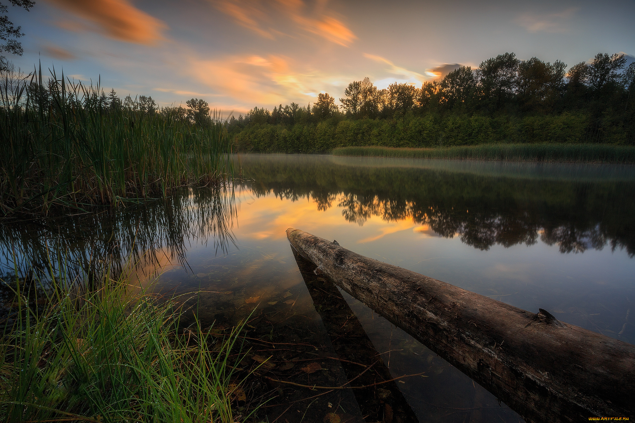 природа, реки, озера, простор