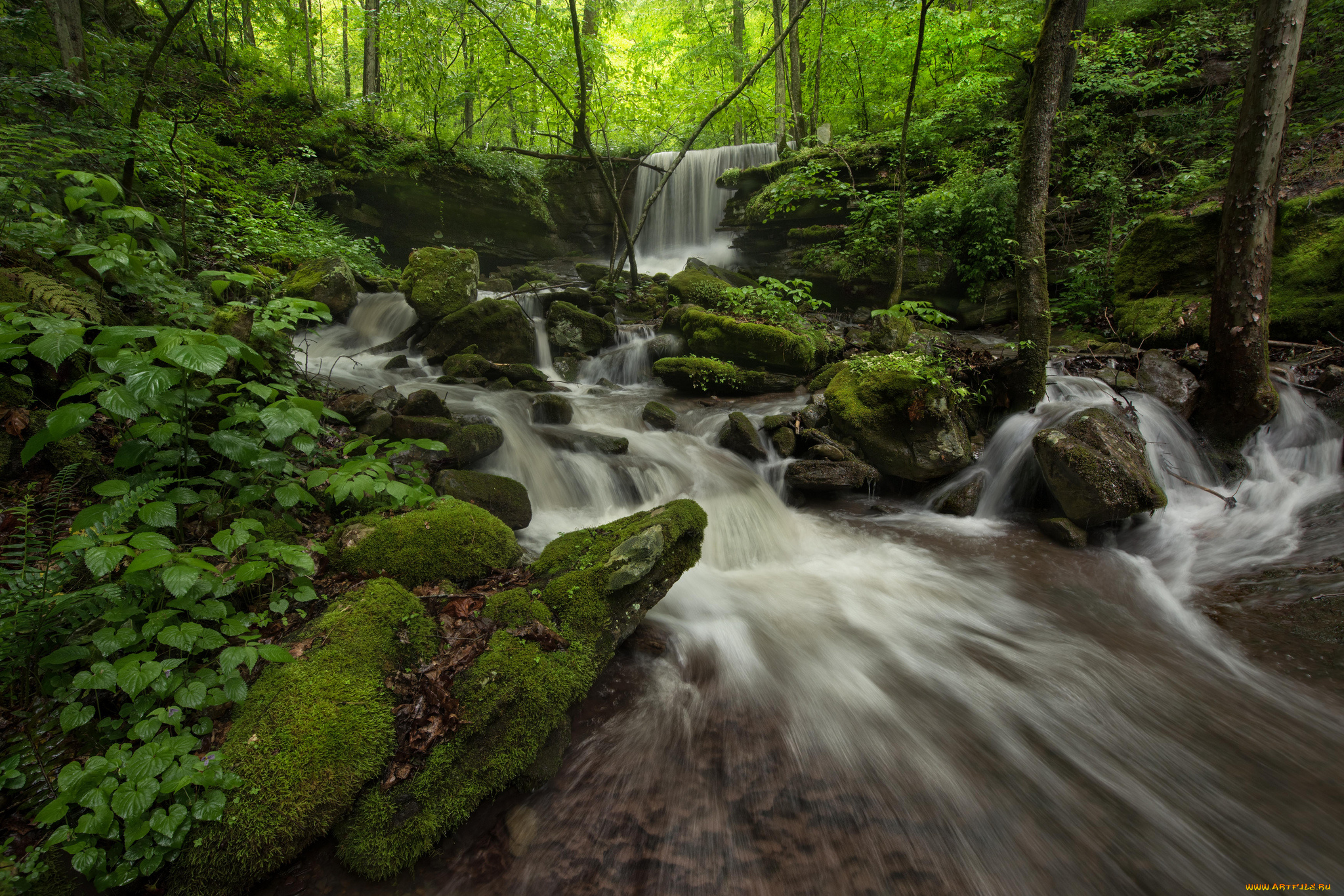 природа, реки, озера, простор